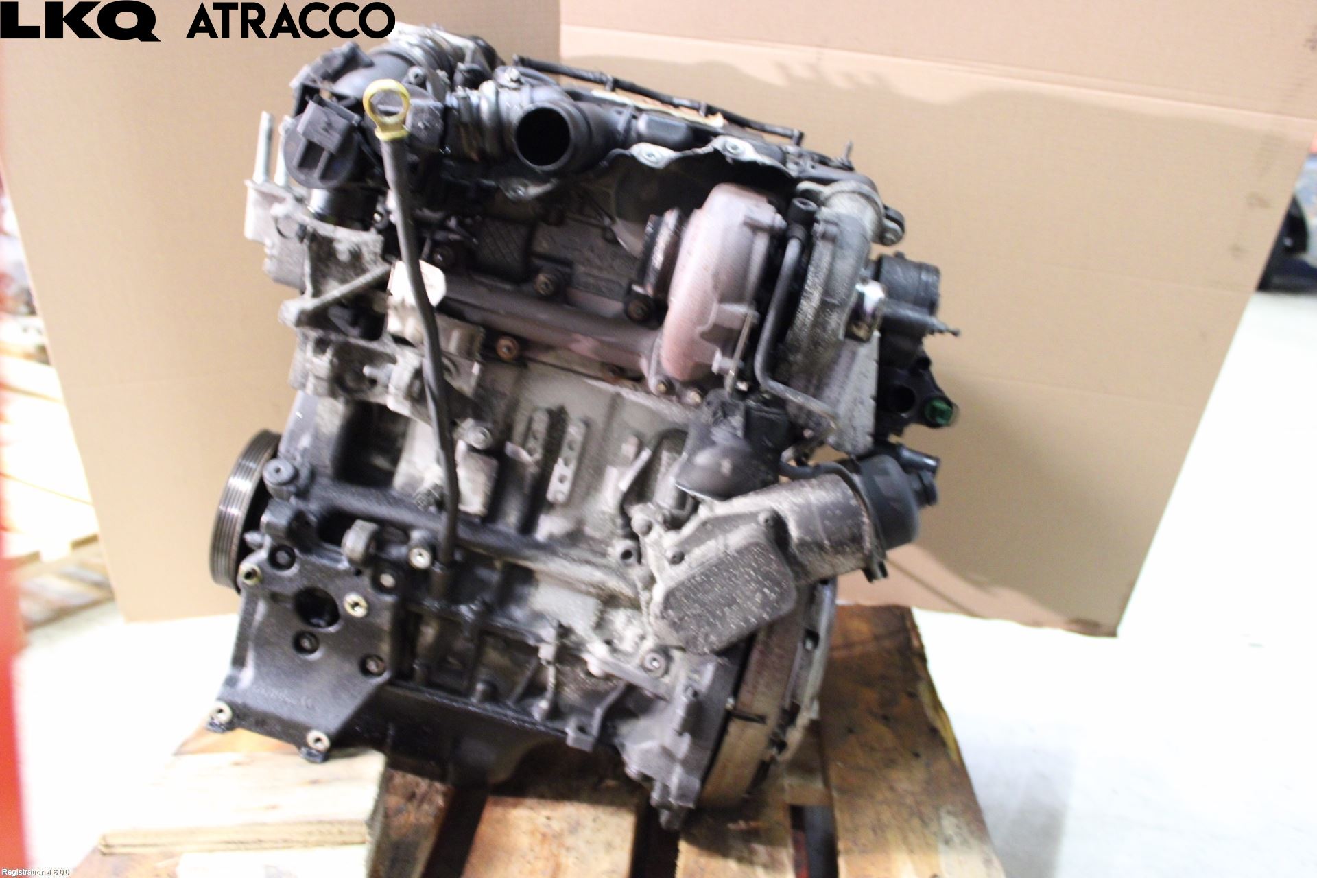 Ford FOCUS 08-11 Motor Diesel