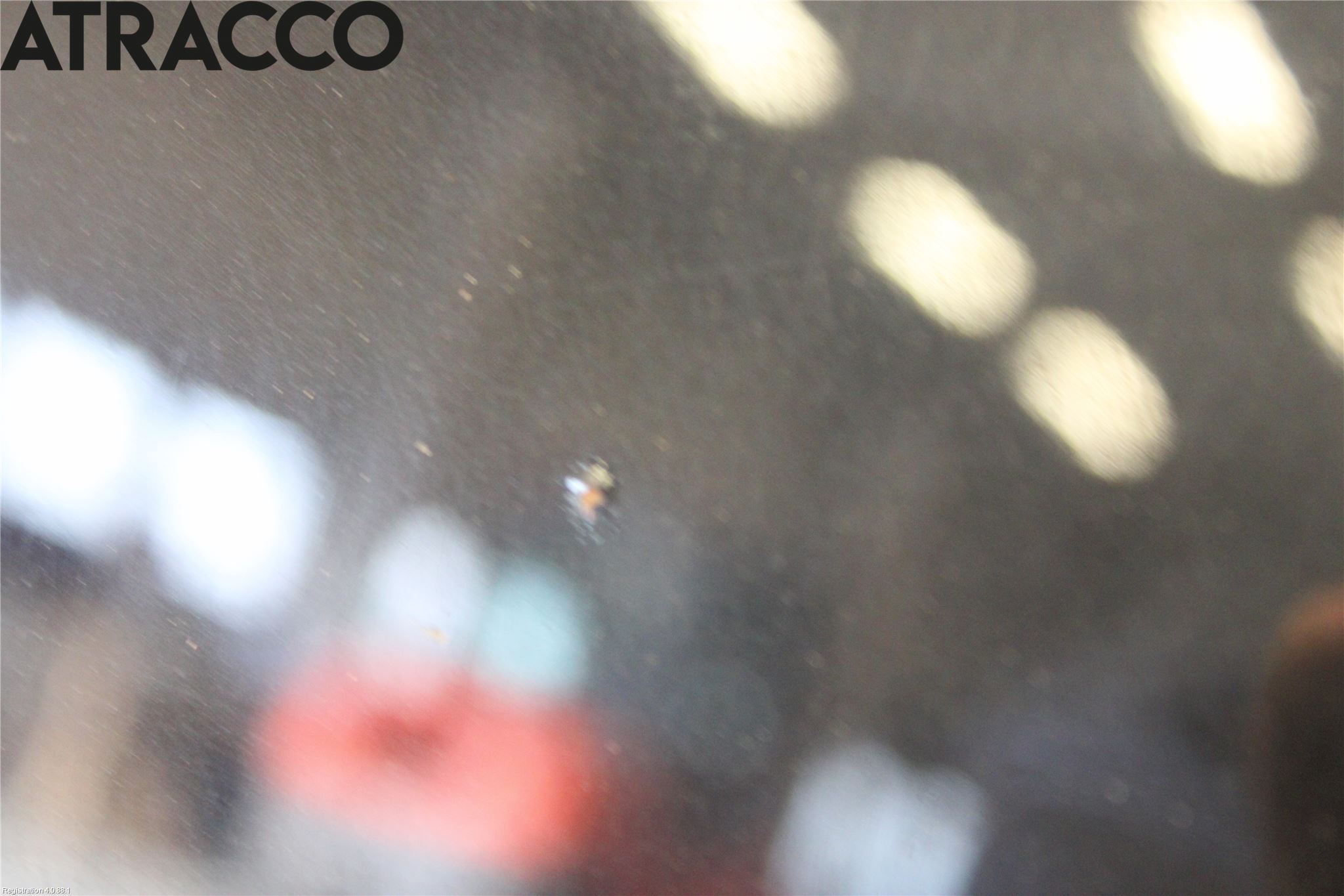 BMW X3 E83     03-10 Panser