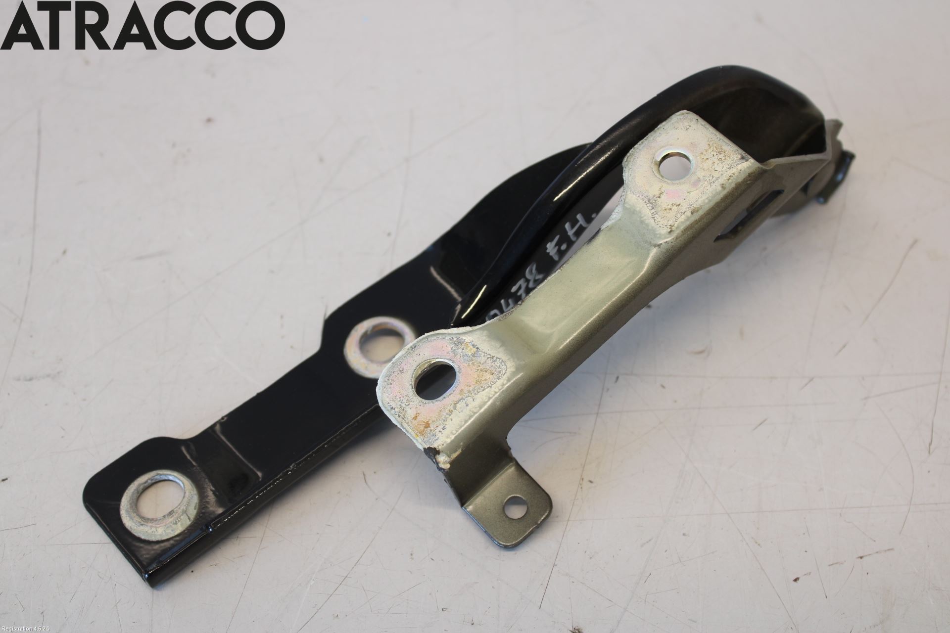 MG ZS EV 20- Panser Hengsel - Hengsler