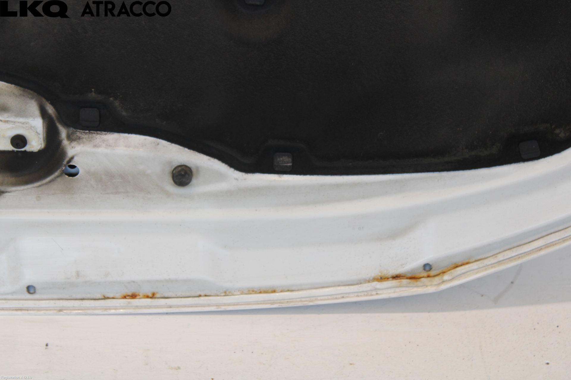 Volkswagen VW TRANSP/CARAVELLE (T6) 16-22 Panser