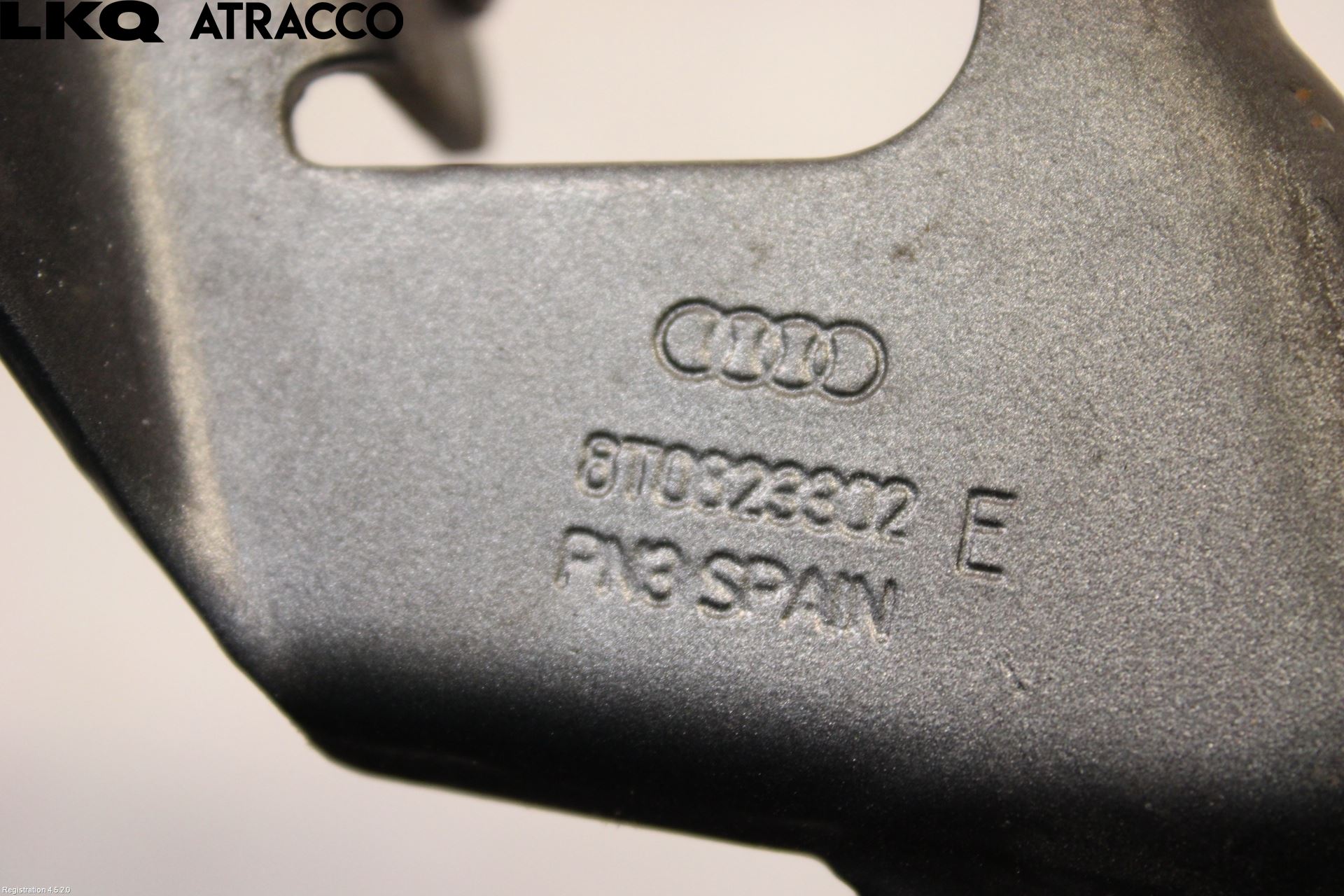 Audi S5 07- Panser Hengsel - Hengsler