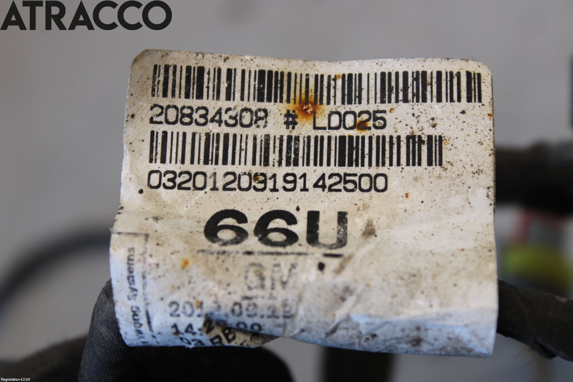 Opel ZAFIRA C 12-19 Ledningsnett