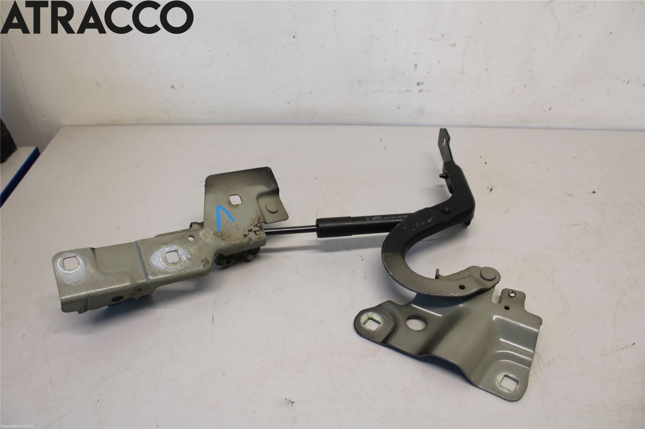 Renault ZOE/E-TECH 13- Panser Hengsel - Hengsler