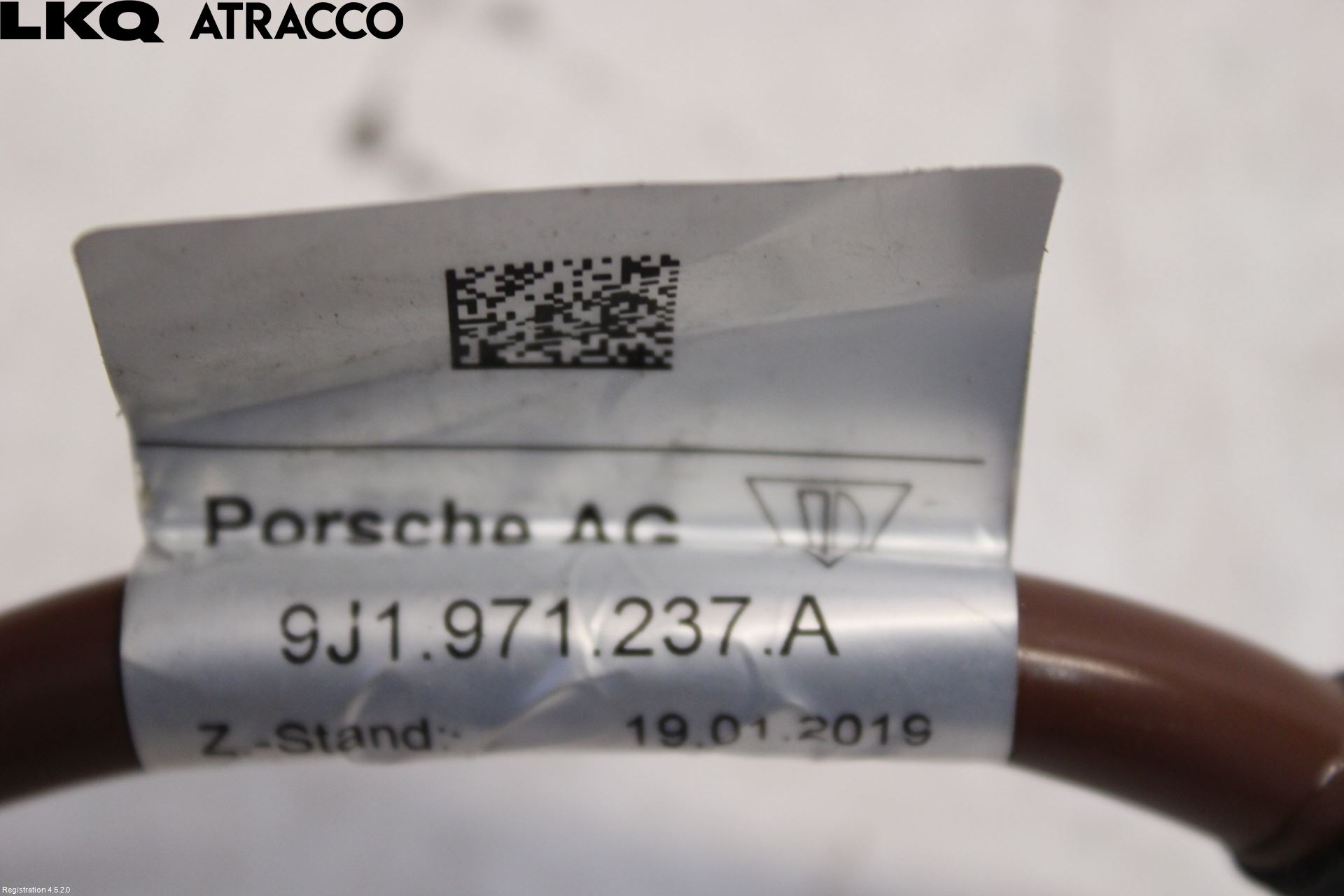 Porsche TAYCAN 20- Ledningsnett