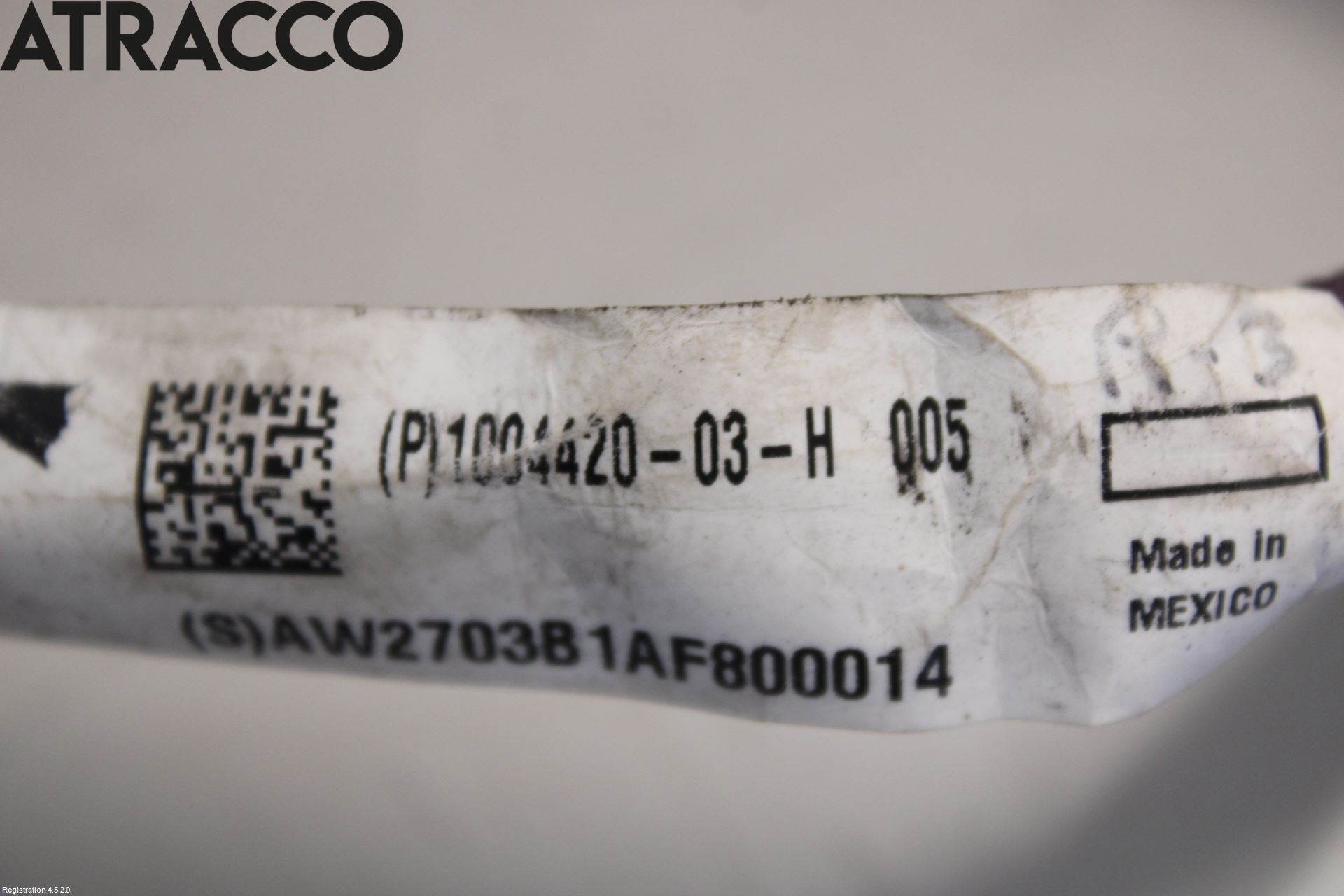 Tesla MODEL S 13- Ledningsnett