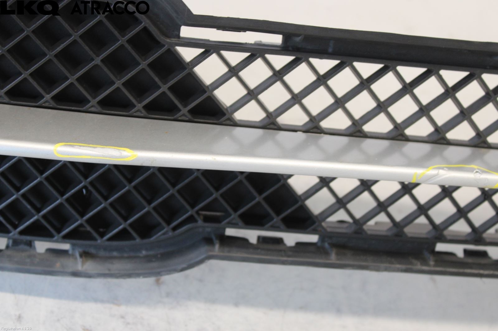 BMW X1 E84 10-15 Grill-Gitter