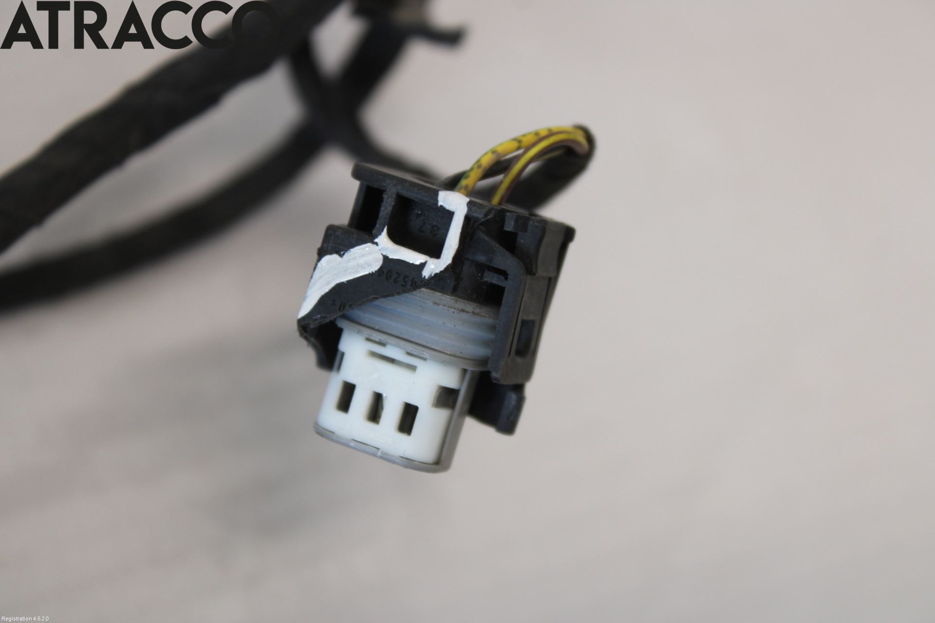 BMW 5 E60/61 Sed/Tou 02-10 Ledningsnett