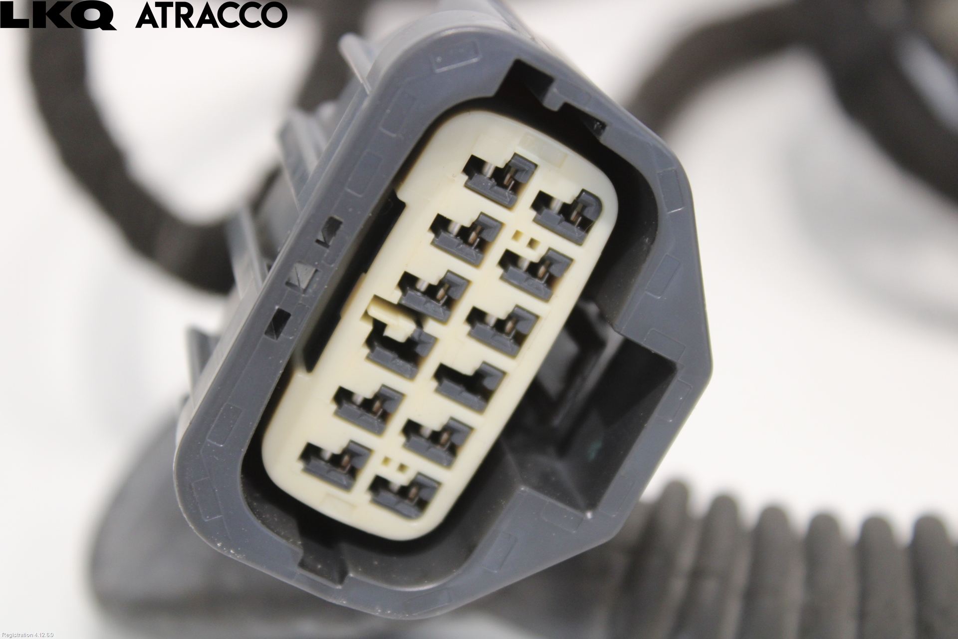 Jaguar I-PACE 18- Ledningsnett