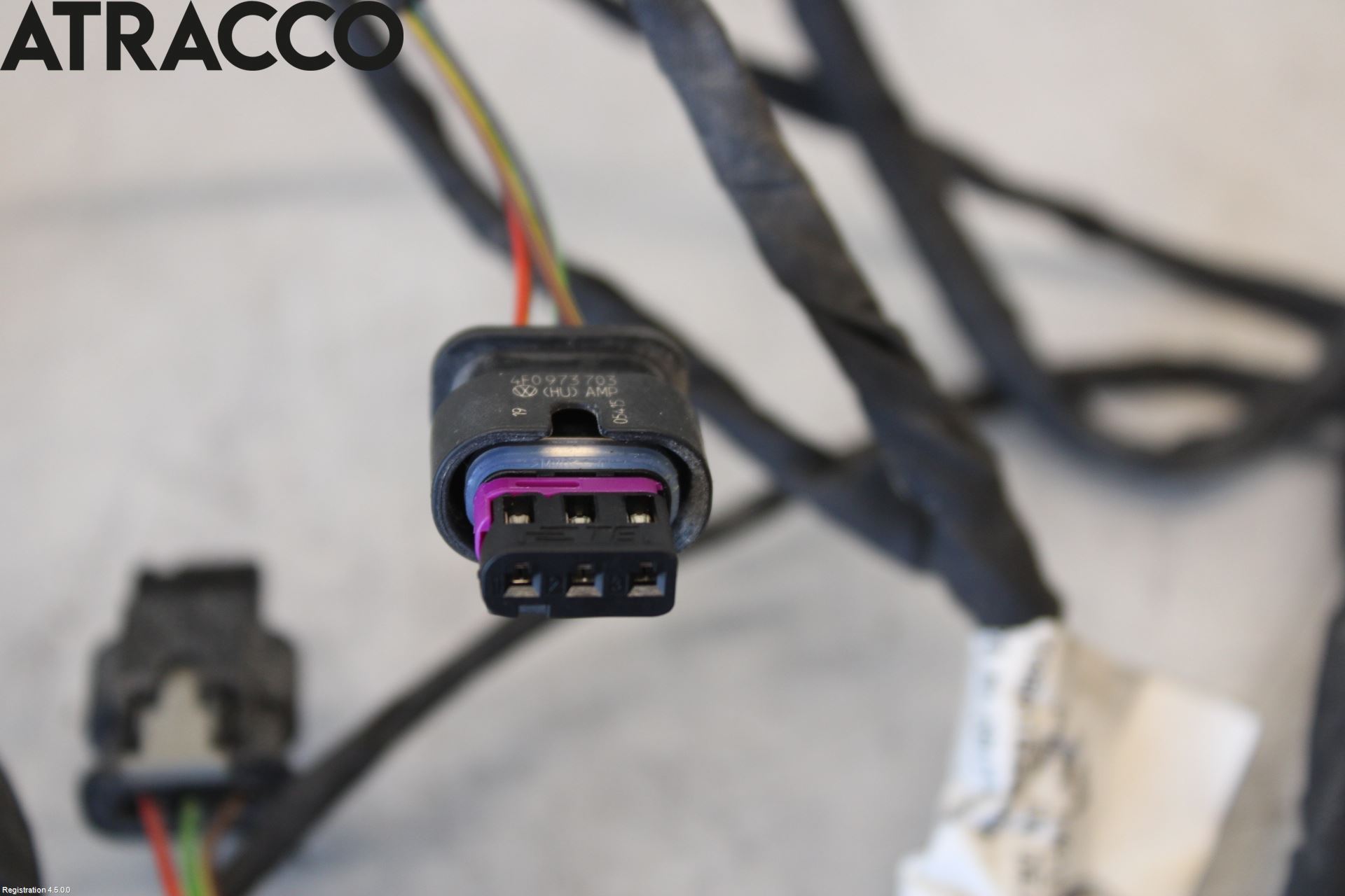 Volkswagen VW GOLF / E-GOLF VII 13-20 Ledningsnett