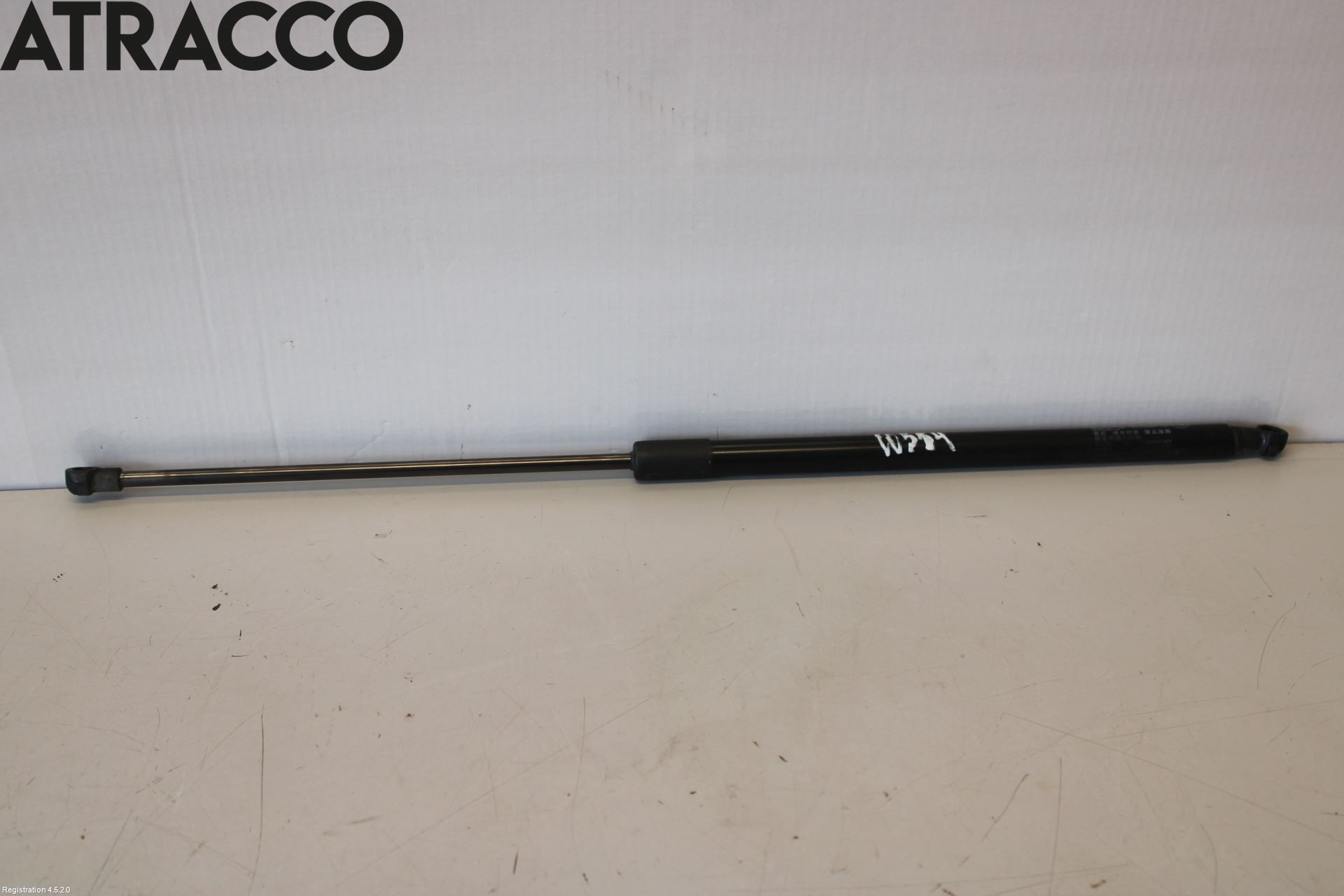 BMW i3 I01 13-22 Bakluke Demper-Gassfjær