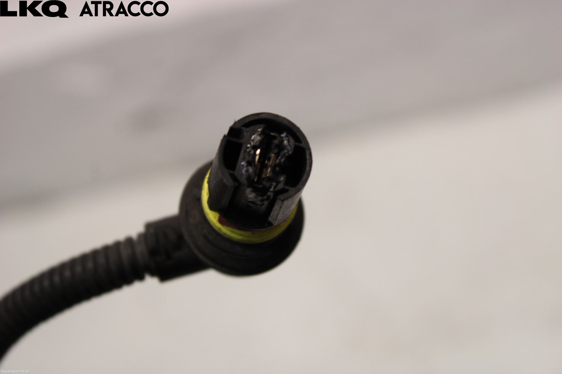 BMW 5 E60/61 Sed/Tou 02-10 Ledningsnett