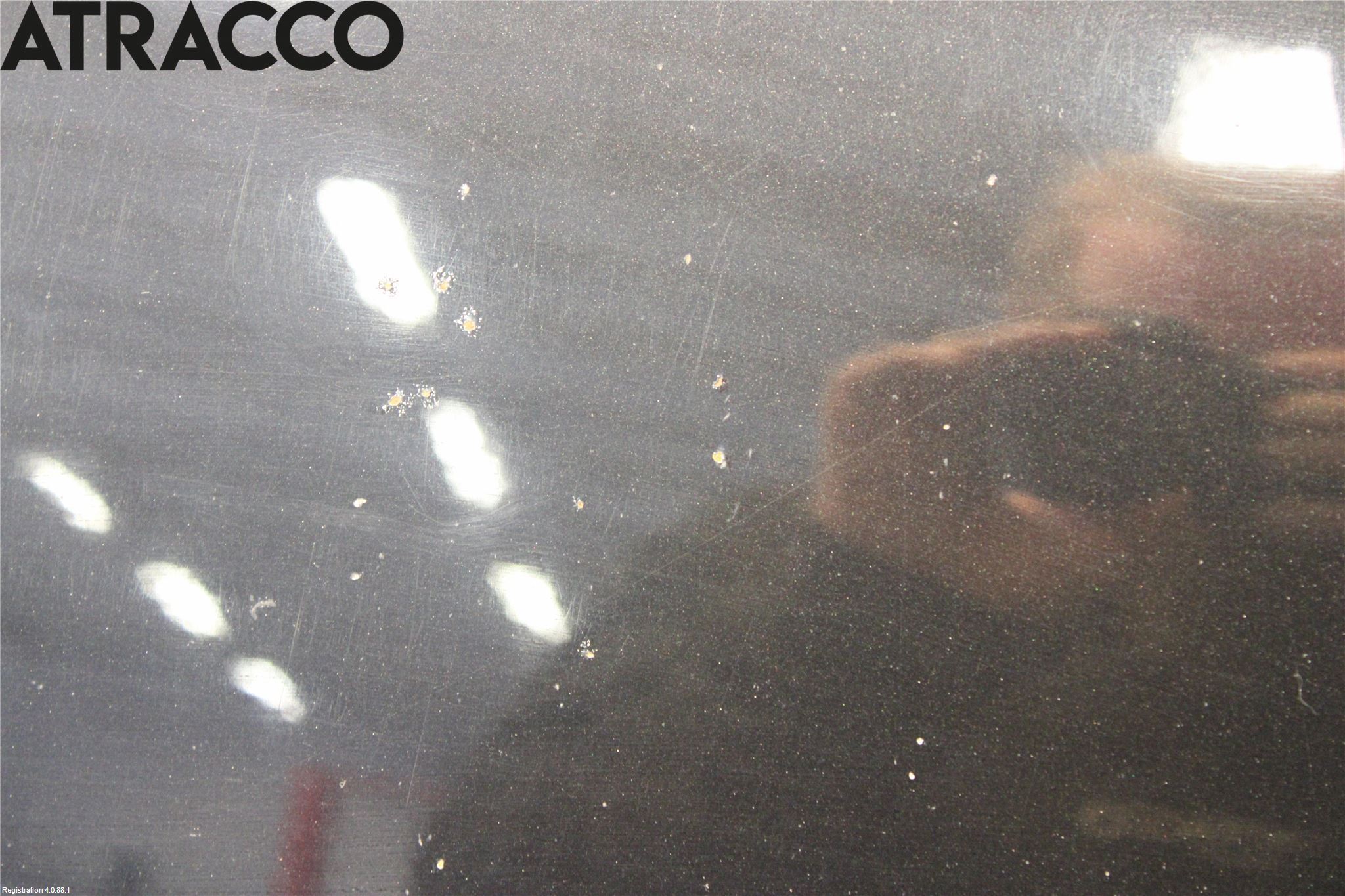 BMW X3 E83     03-10 Panser