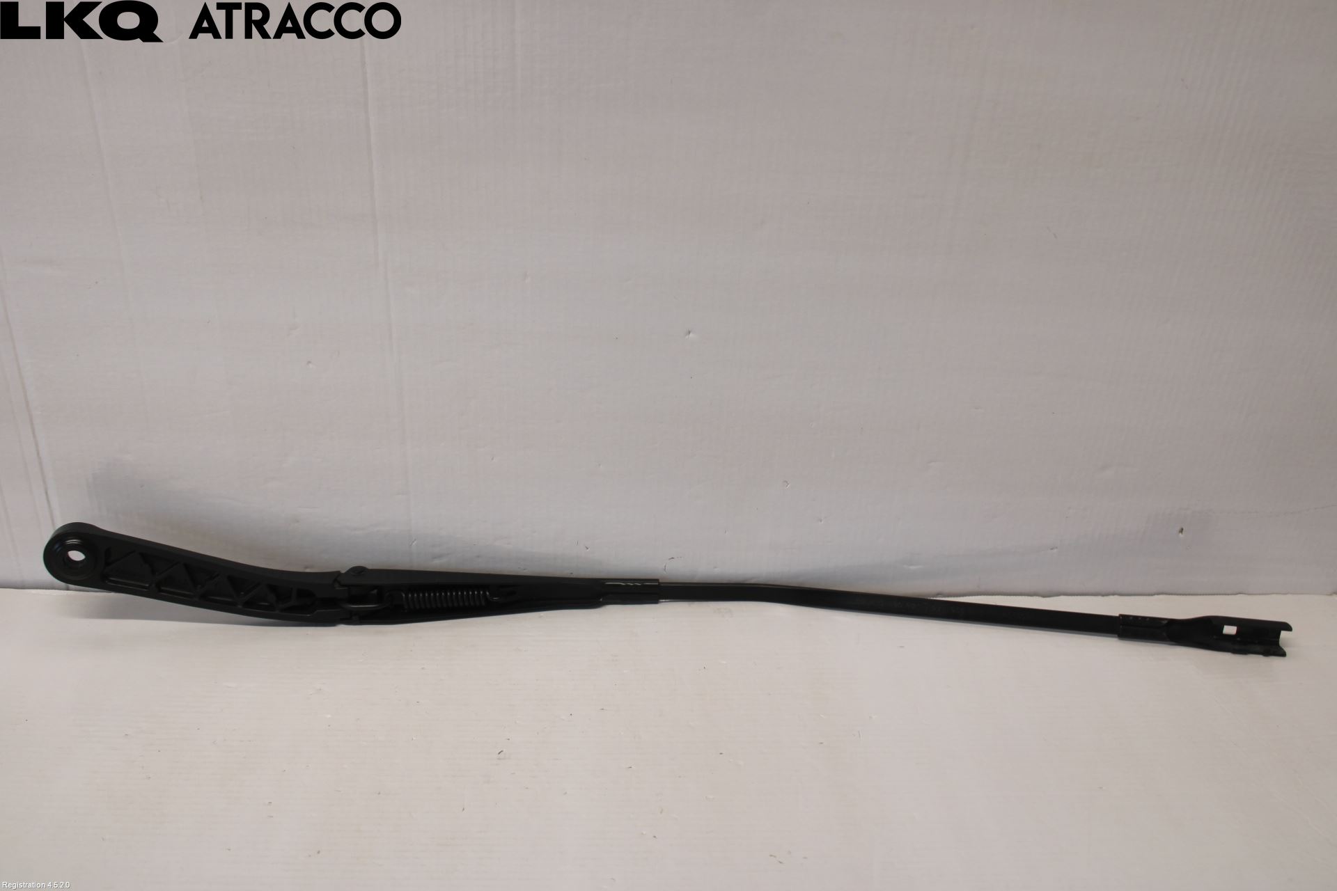 Porsche TAYCAN 20- Viskerarm-Armer Frontrute