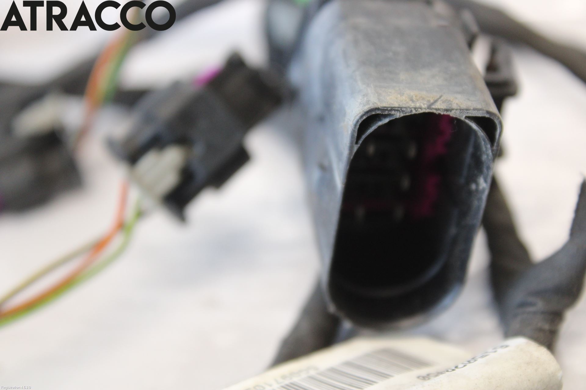 Volkswagen VW GOLF / E-GOLF VII 13-20 Ledningsnett