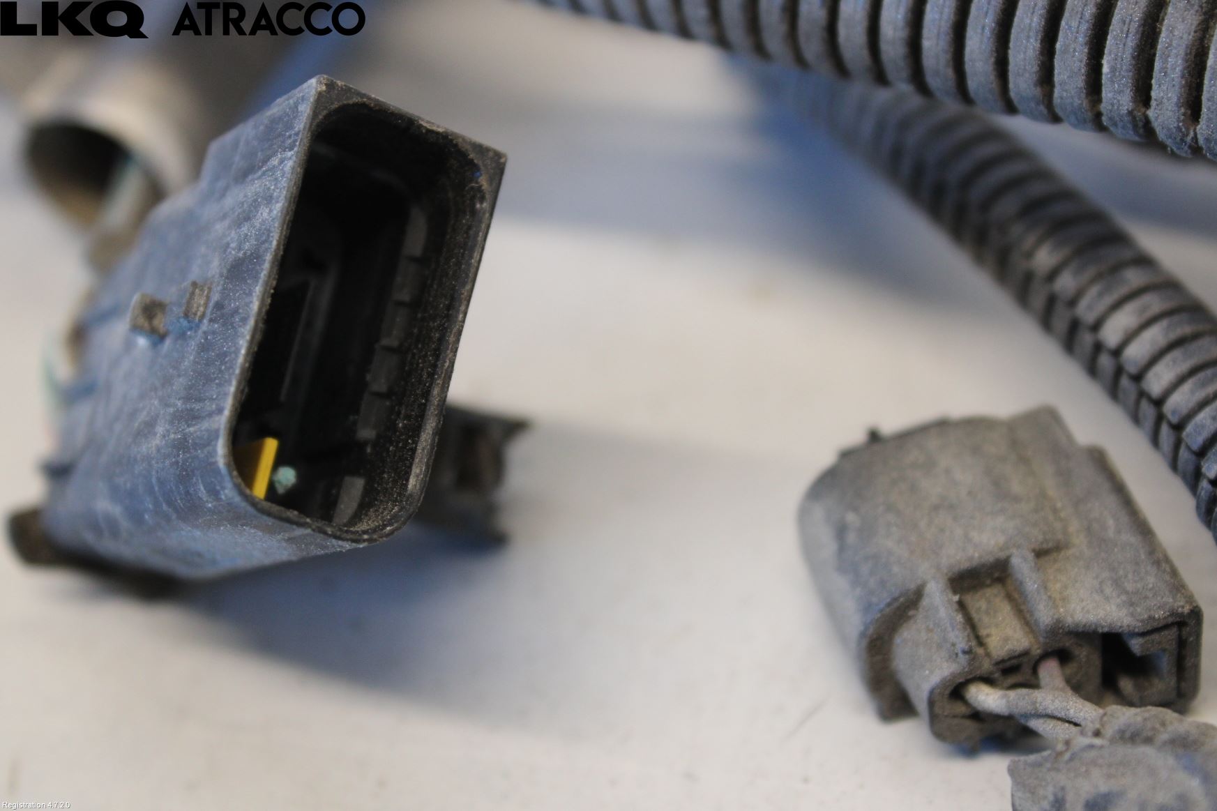 Peugeot 308 14-21 Ledningsnett