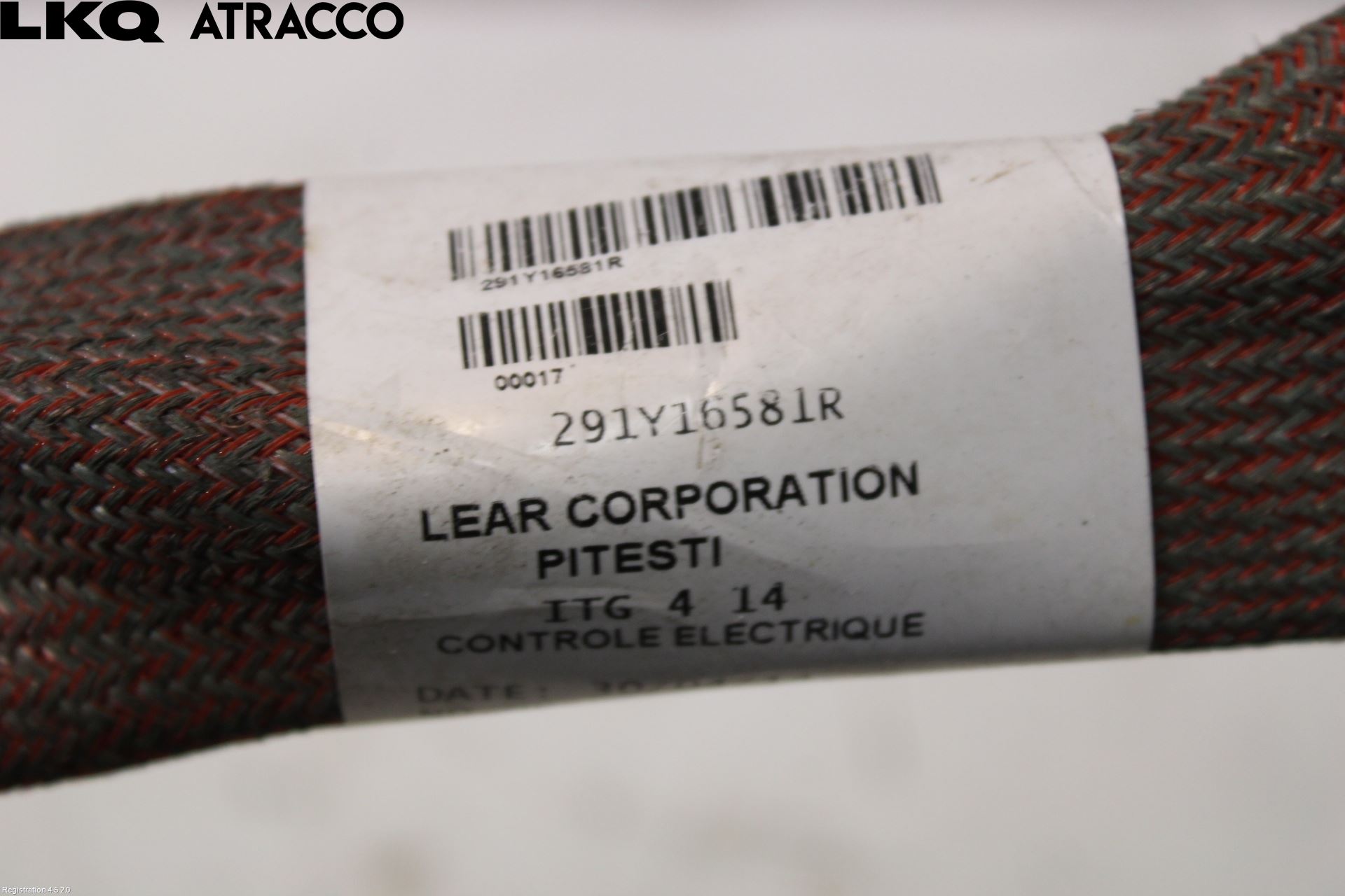 Renault ZOE/E-TECH 13- Kabelhärva Högspänning