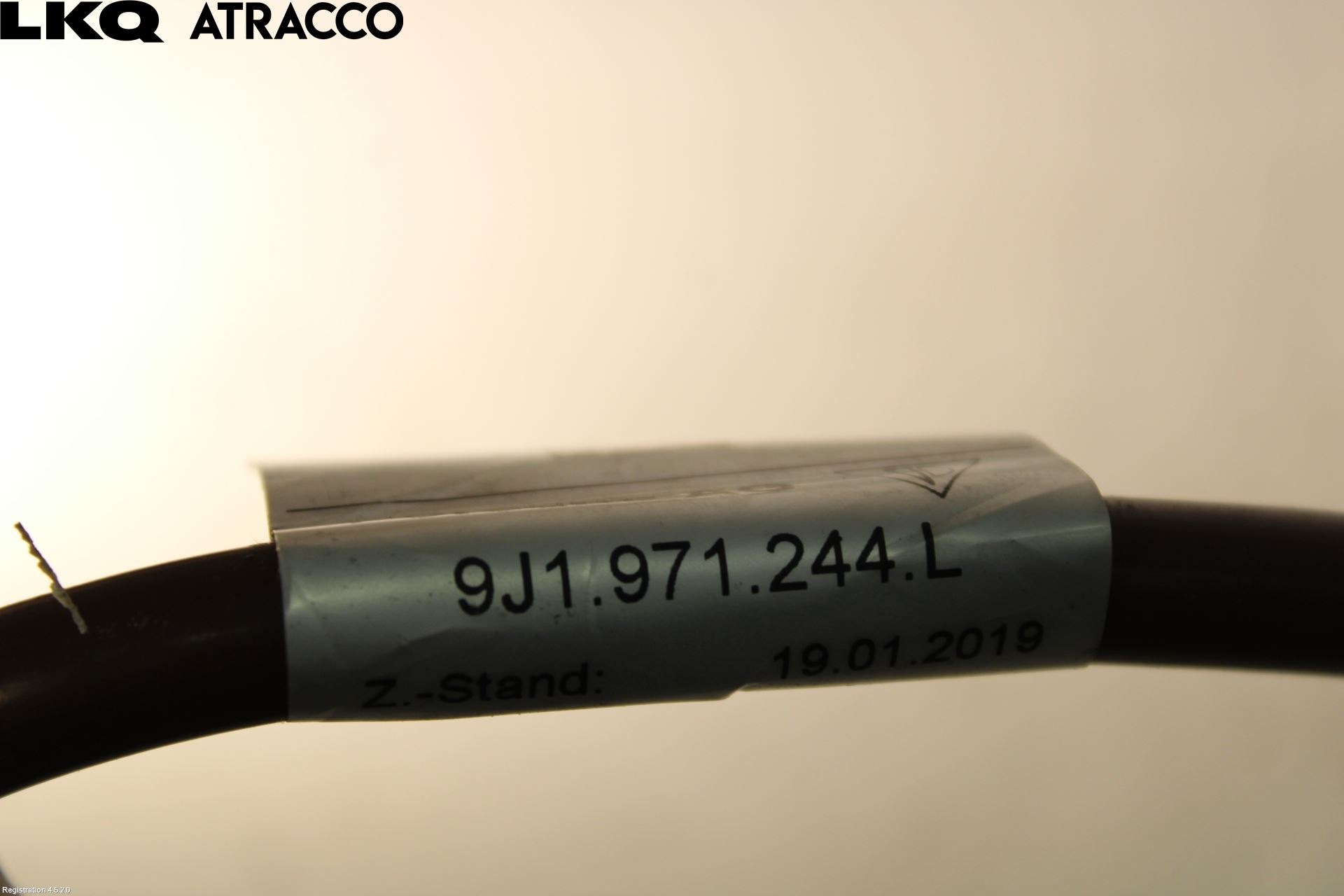 Porsche TAYCAN 20- Ledningsnett