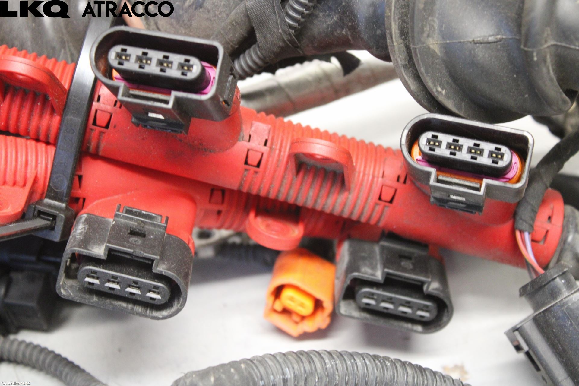 Audi S5 07- Ledningsnett