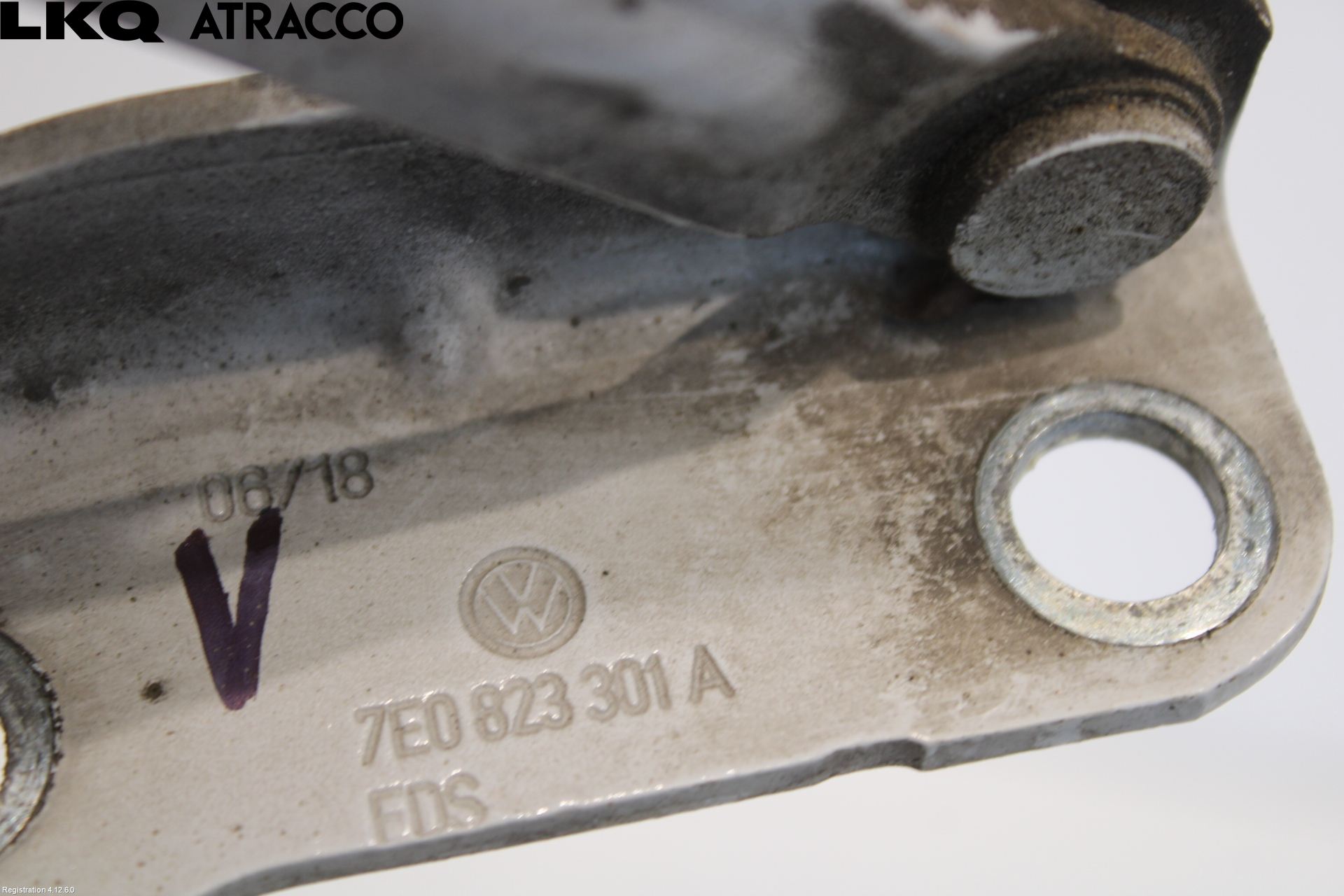 Volkswagen VW TRANSP/CARAVELLE (T6) 16-22 Panser Hengsel - Hengsler