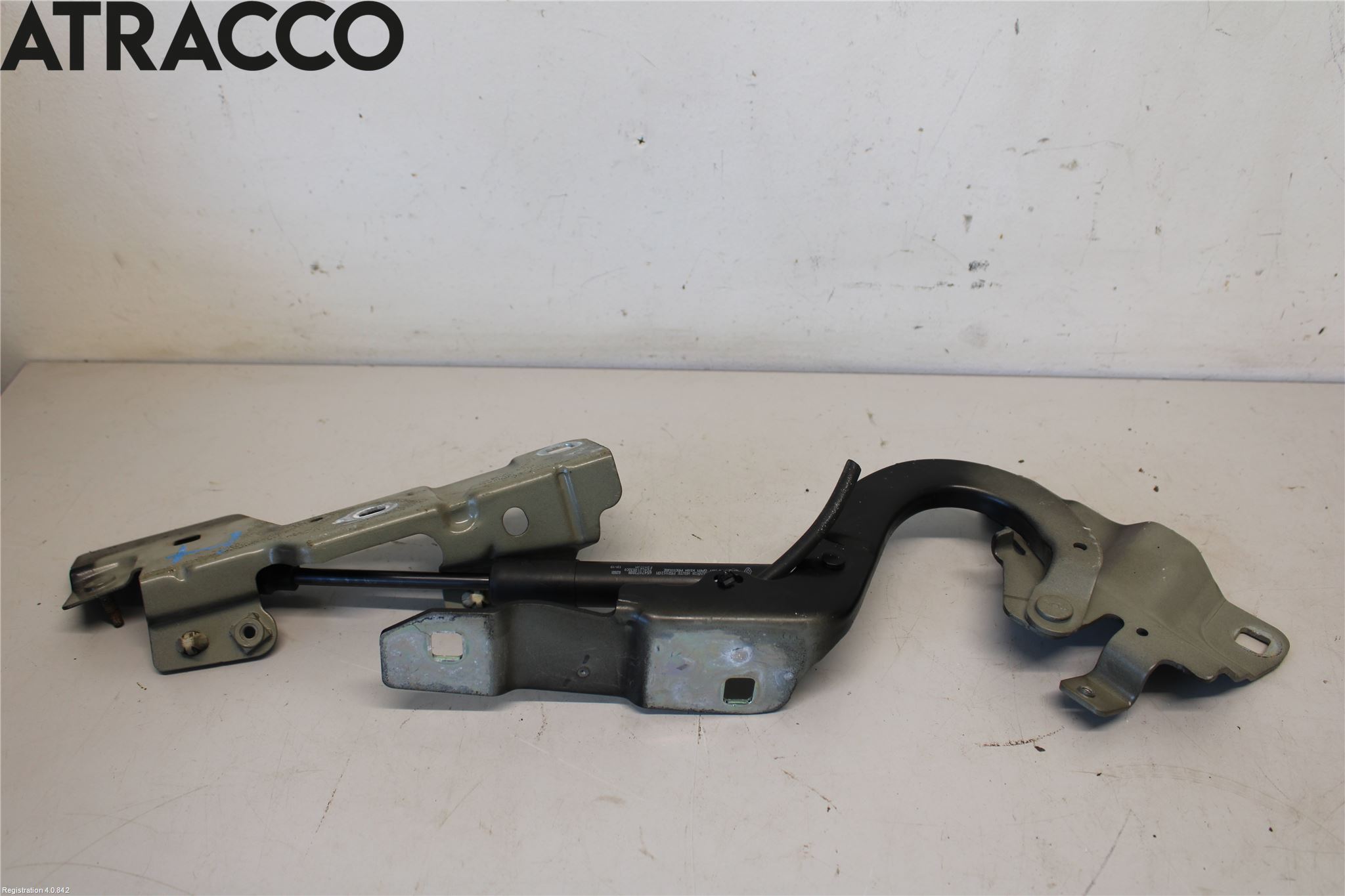 Renault ZOE/E-TECH 13- Panser Hengsel - Hengsler