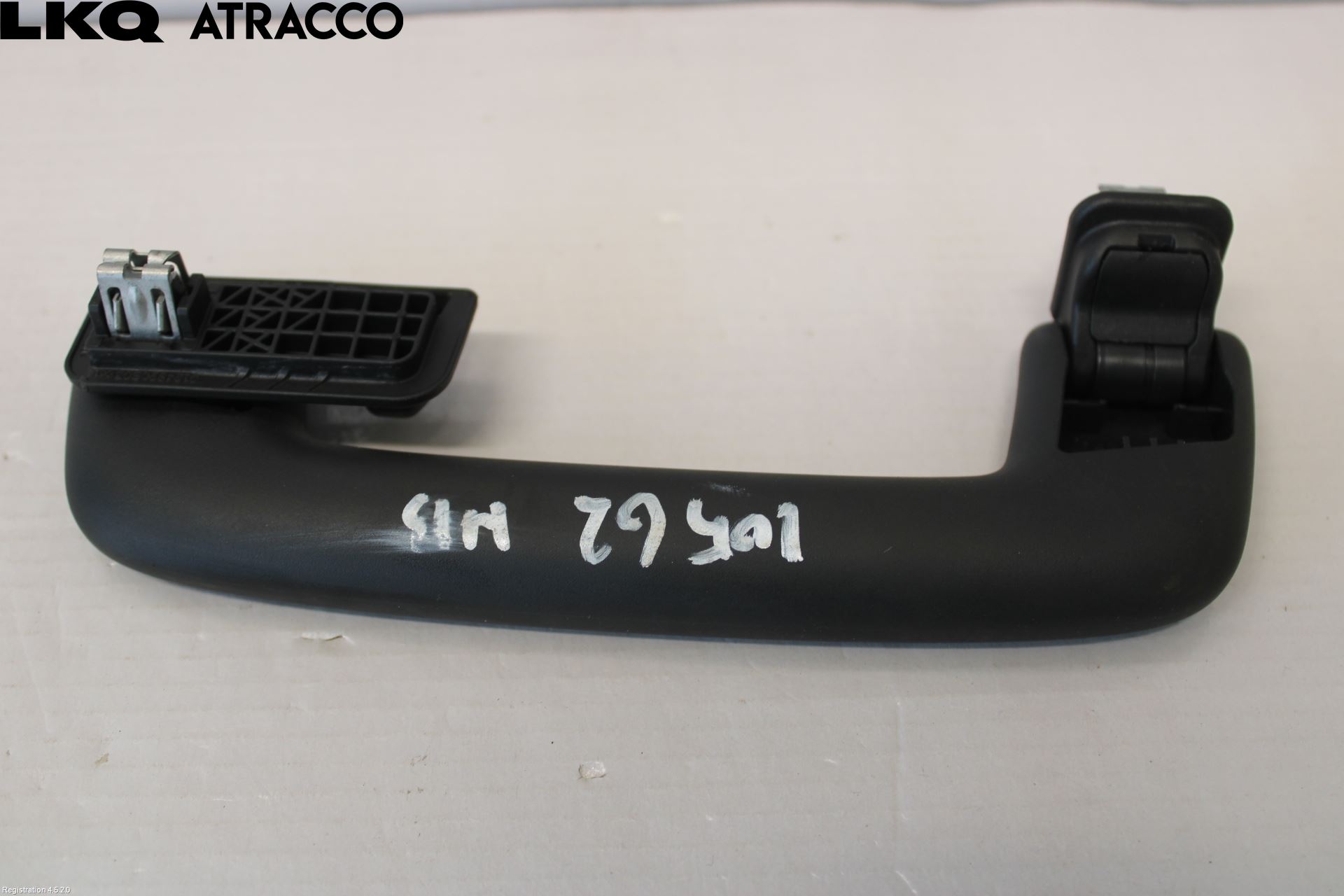 Porsche TAYCAN 20- Innrhandtak I Taket