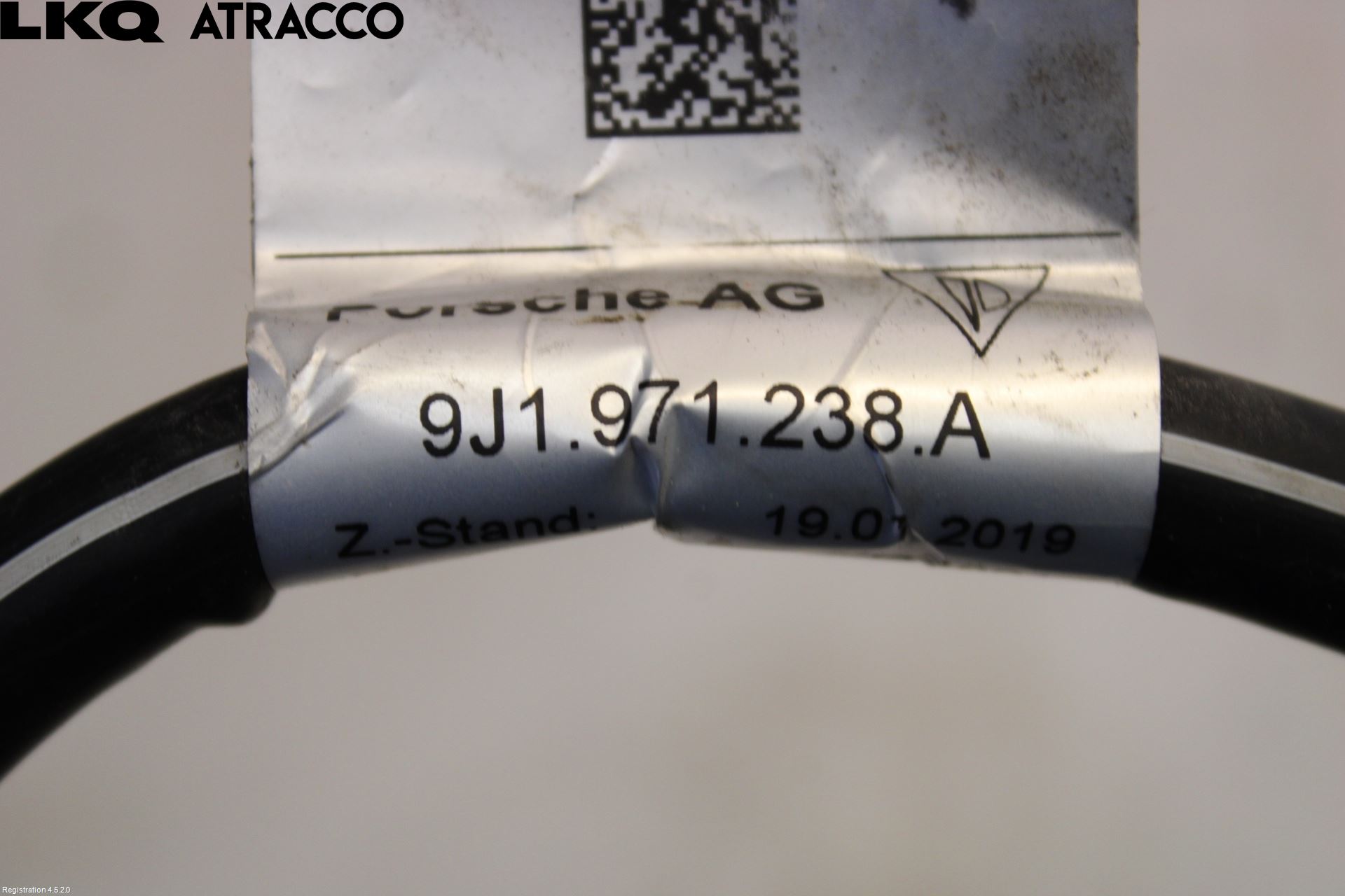 Porsche TAYCAN 20- Ledningsnett