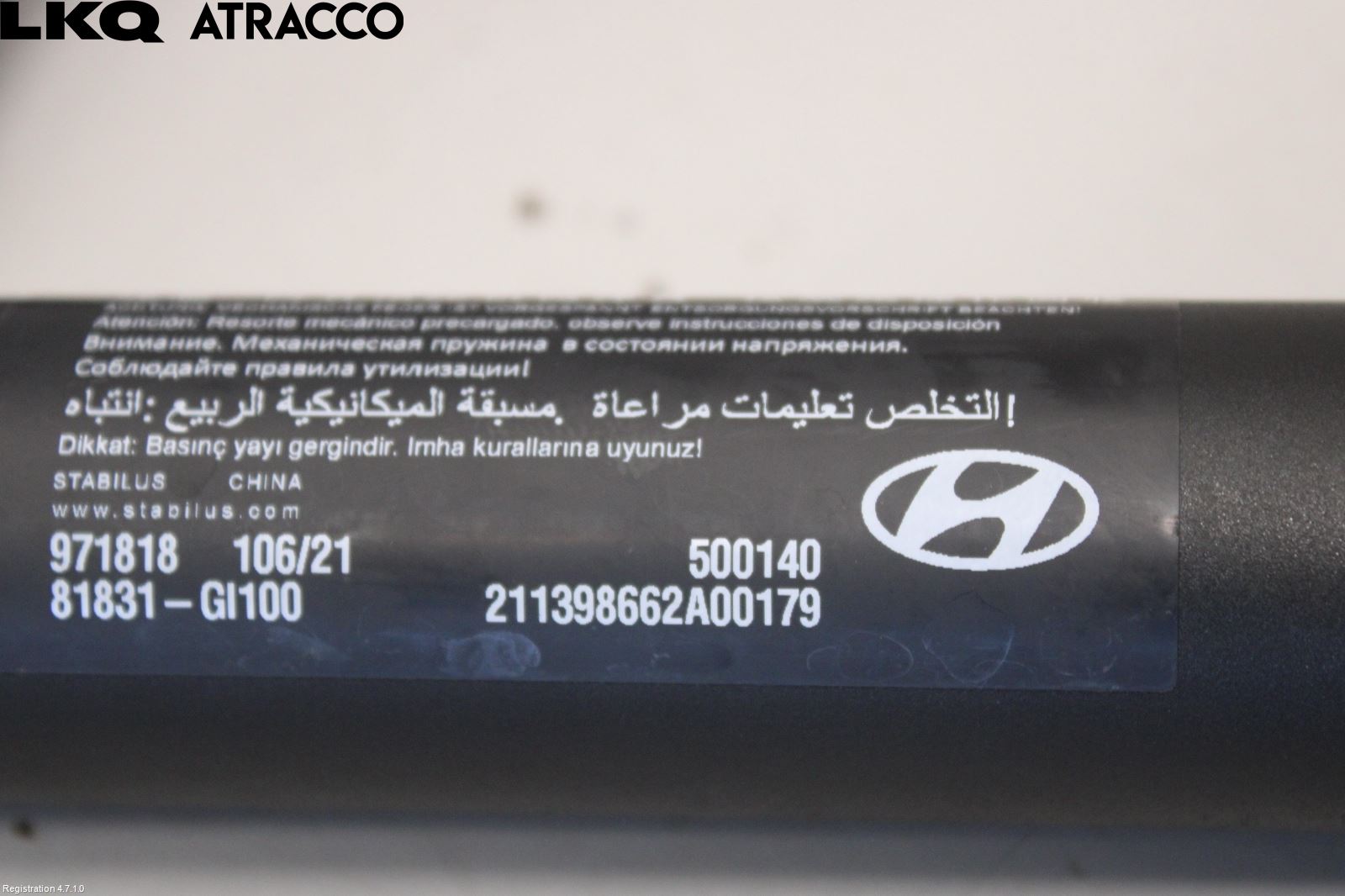 Hyundai IONIQ 5 NE 22- Bakluke Demper-Gassfjær