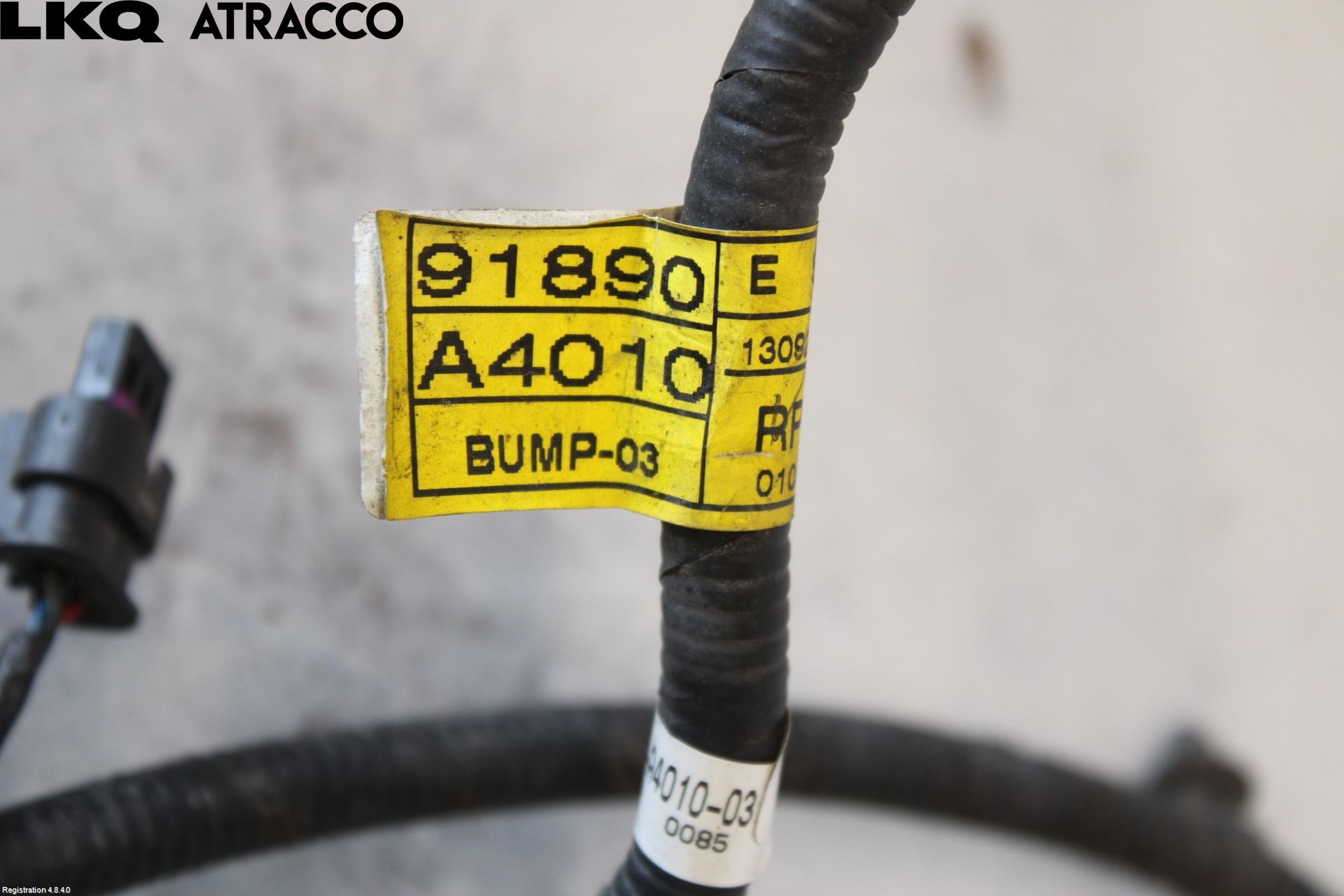 Kia CARENS III 13-19 Ledningsnett