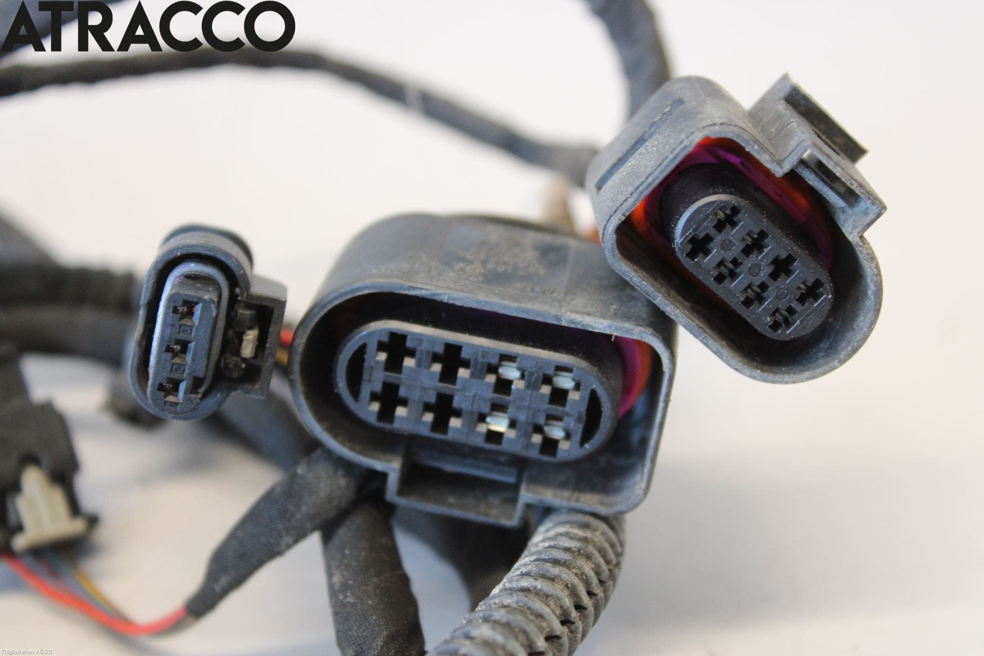 Skoda OCTAVIA (5E) 13-20 Ledningsnett