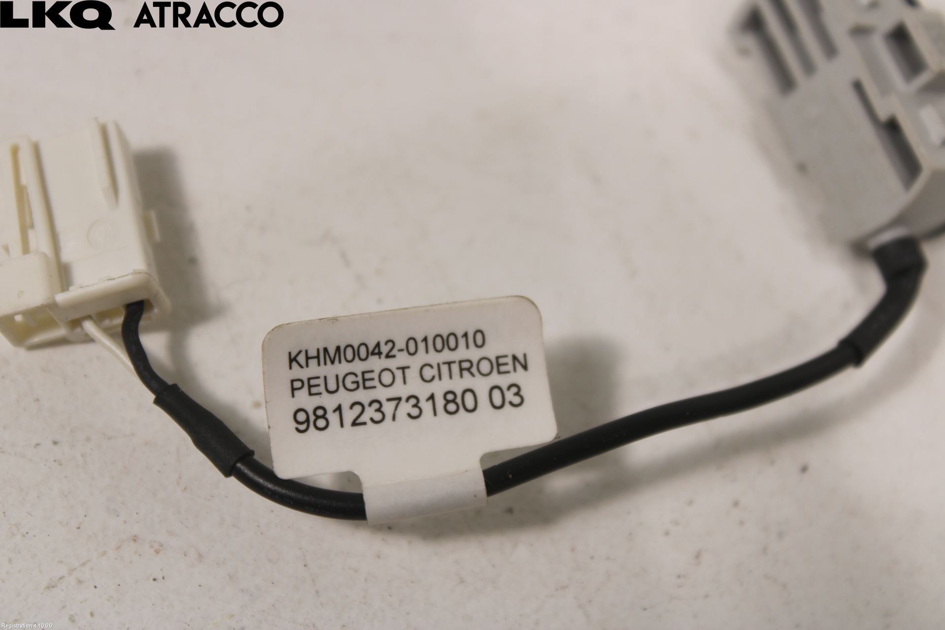 Peugeot 208/E-208 20- Mikrofon