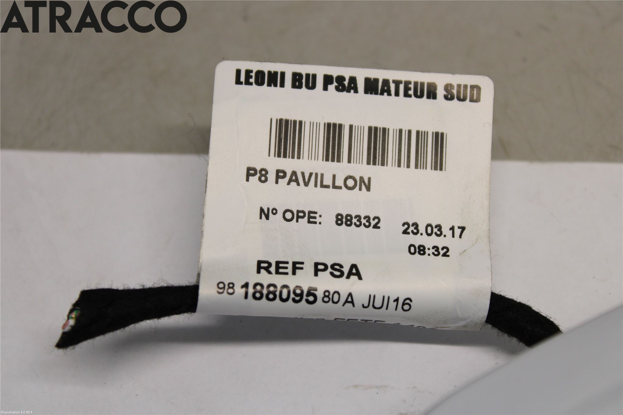 Peugeot 3008 17-24 Innr Taklys