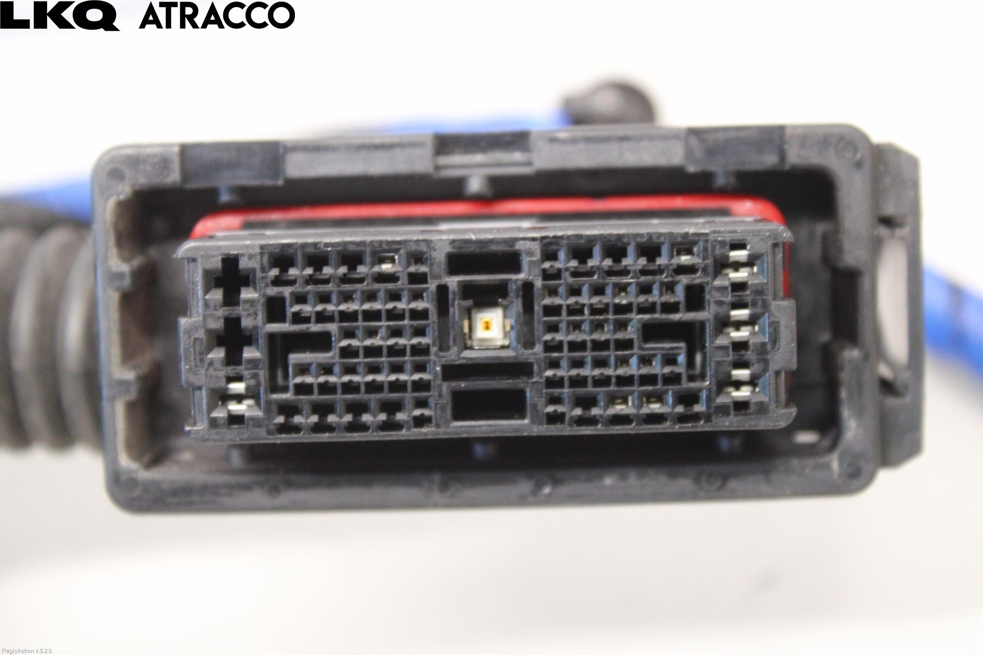 Hyundai IONIQ 5 NE 22- Ledningsnett