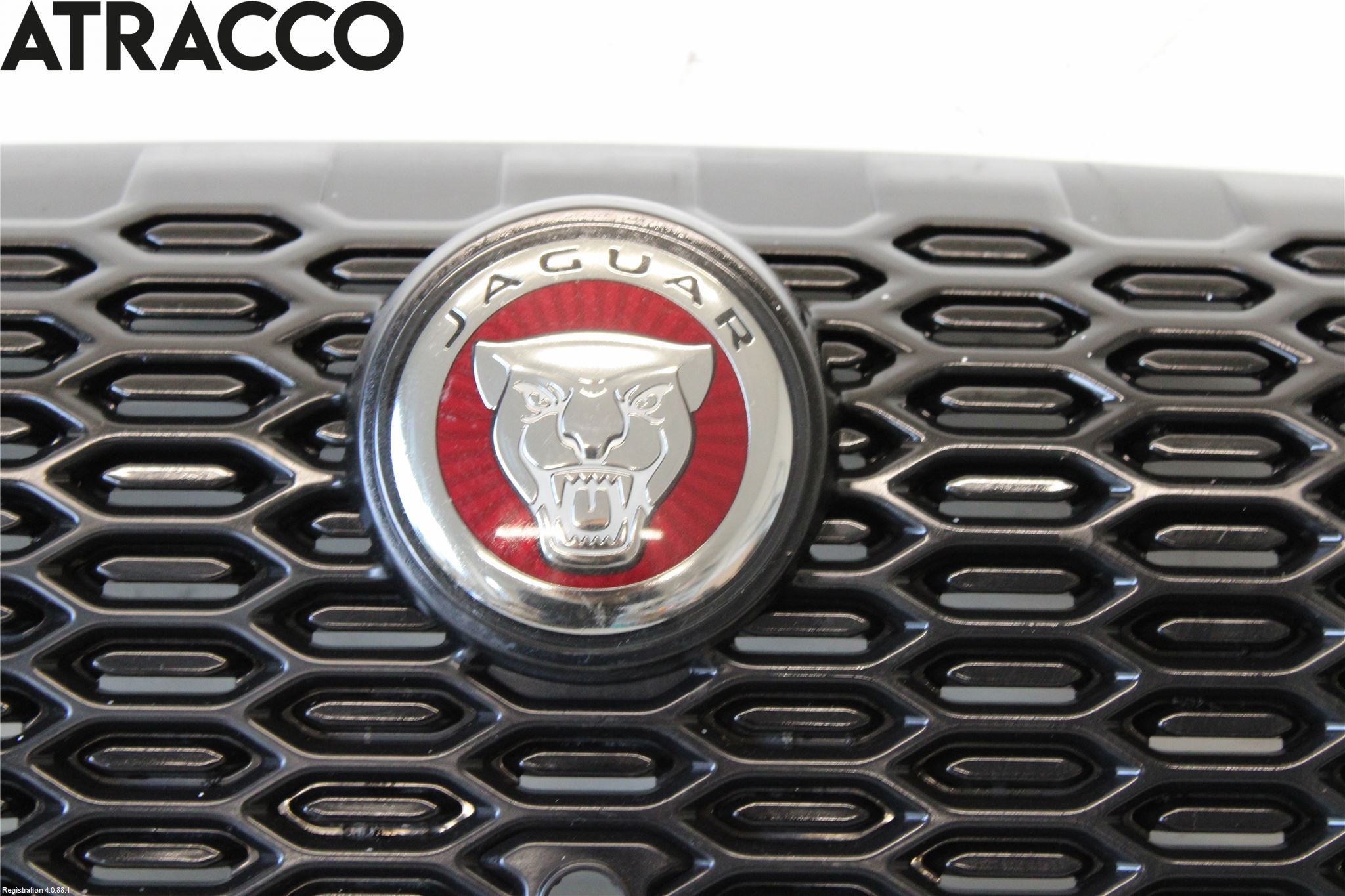 Jaguar I-PACE 18- Grill Komplett