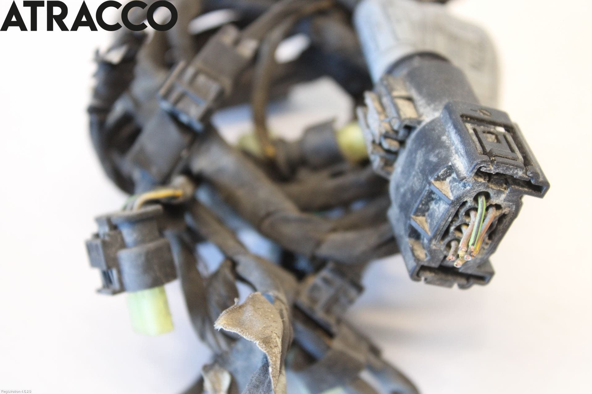 BMW 5 F10/F11/F18 09-17 Ledningsnett