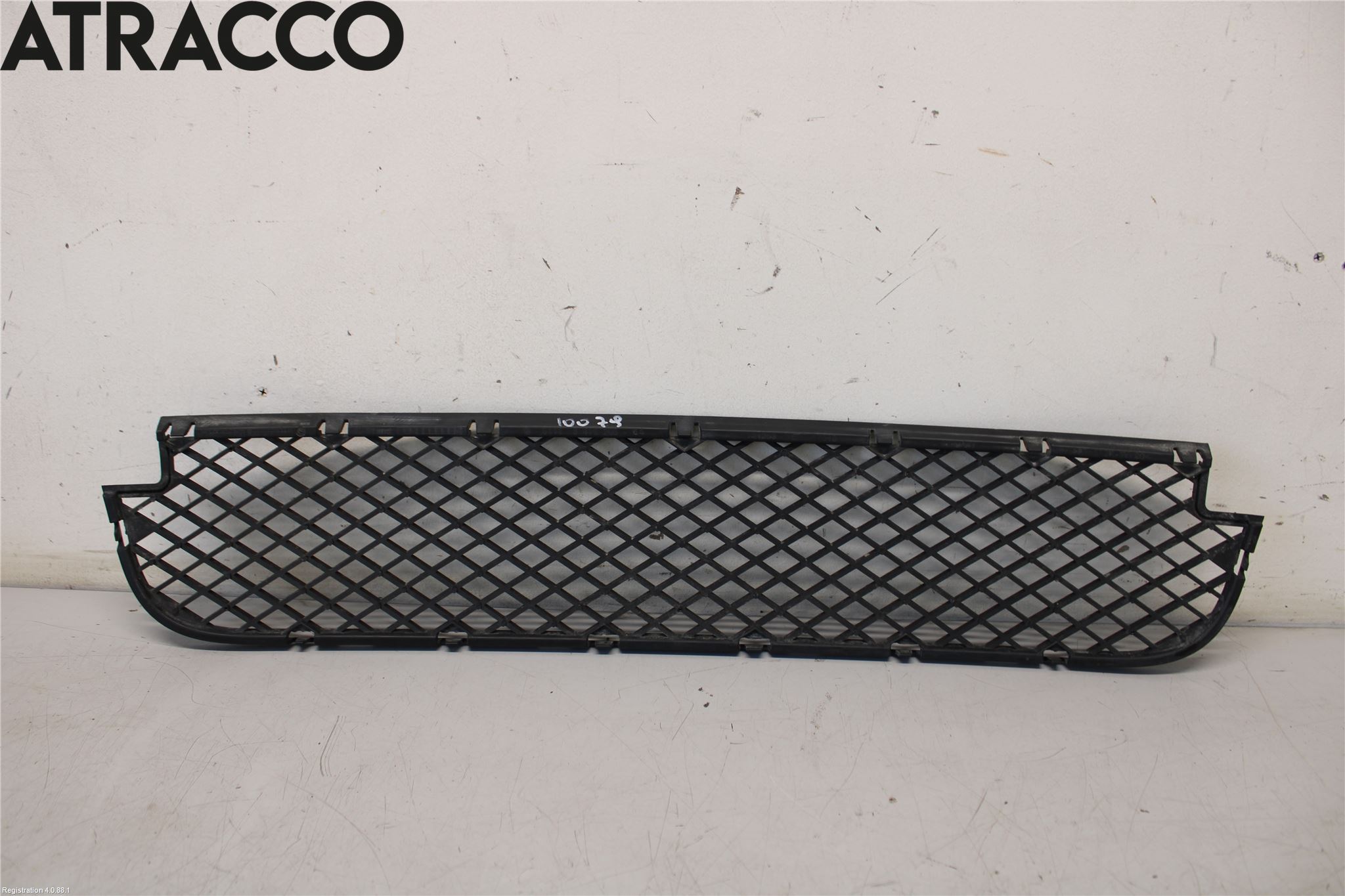 BMW X3 E83     03-10 Støtfanger Foran Midt Del