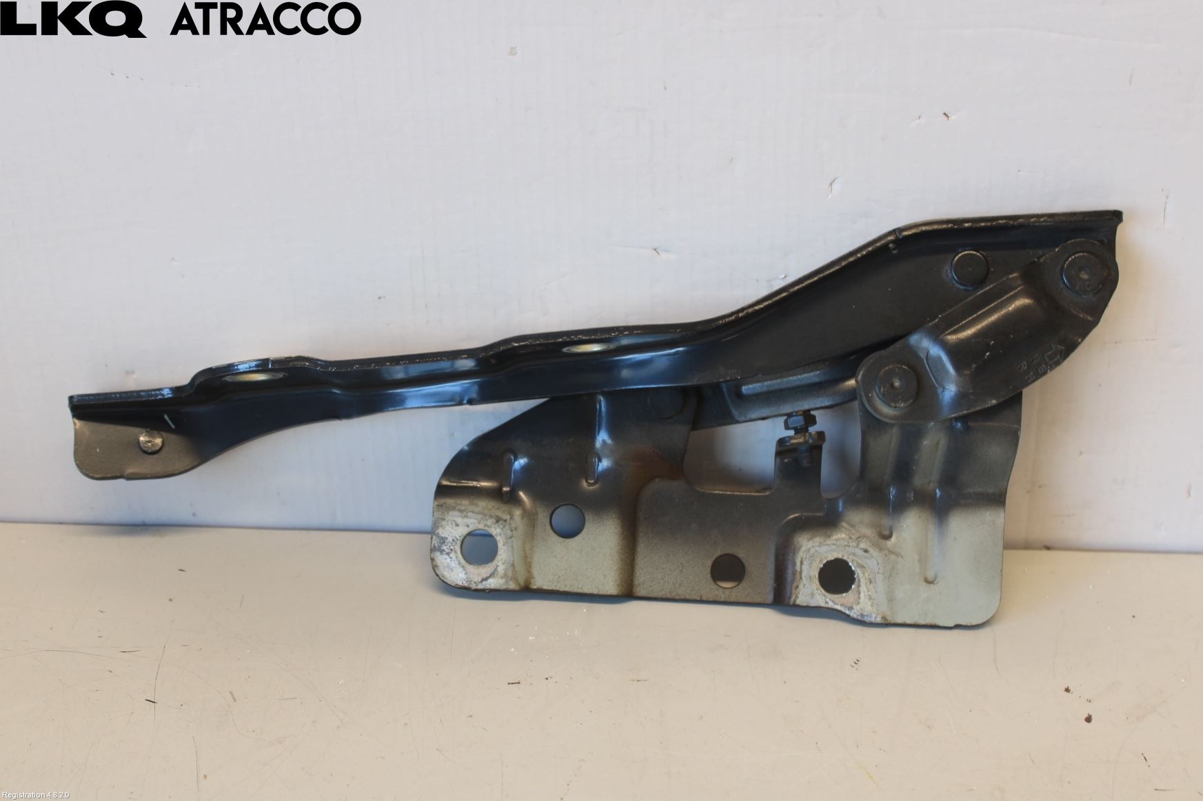 Hyundai IONIQ 5 NE 22- Panser Hengsel - Hengsler