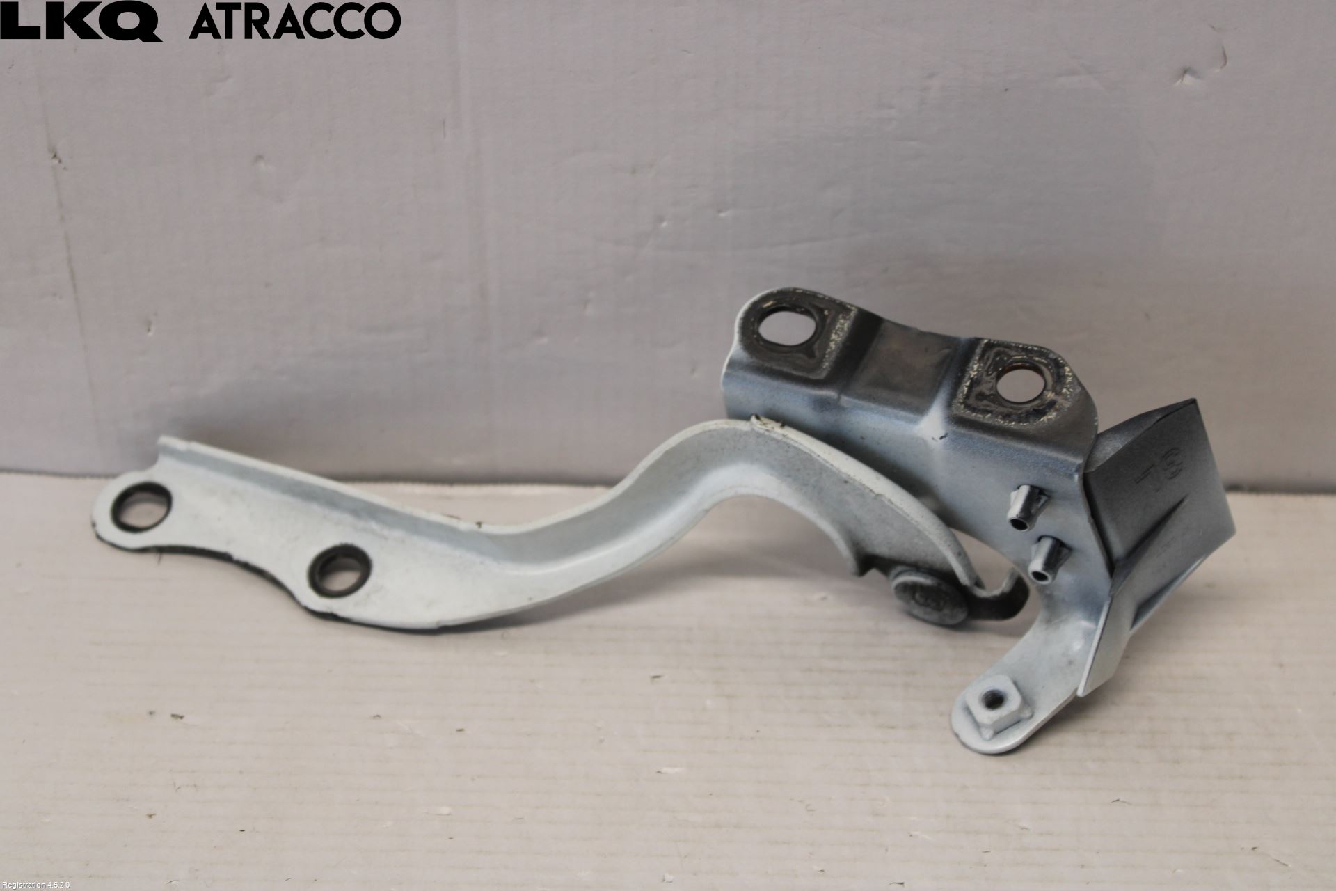 Toyota bZ4X EA10 22- Panser Hengsel - Hengsler