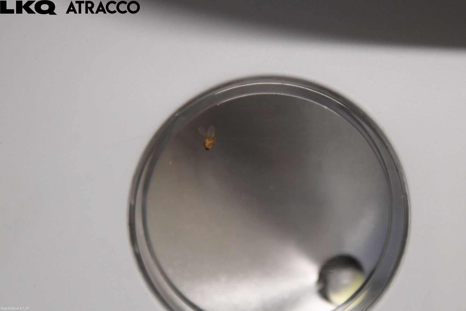 Peugeot 308 14-21 Innr Taklys