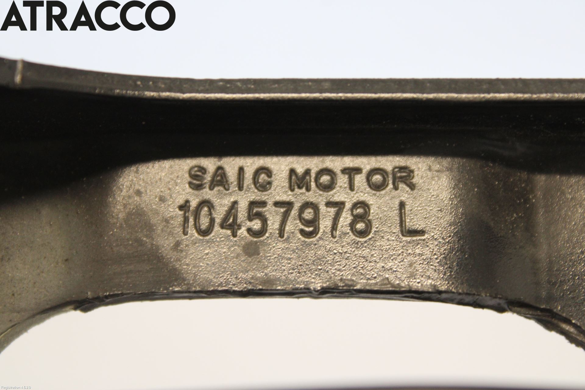 MG ZS EV 20- Panser Hengsel - Hengsler