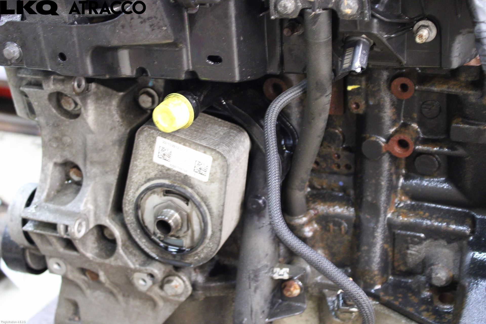 Nissan QASHQAI 14-17 Motor Diesel