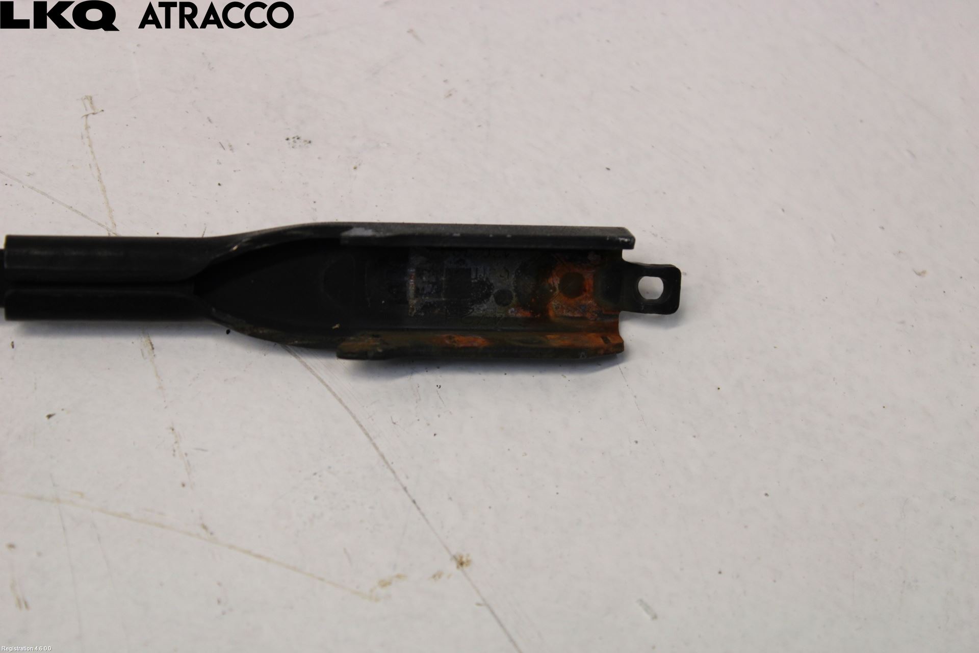 BMW 3 F30/F31/F80 12-19 Viskerarm-Armer Frontrute
