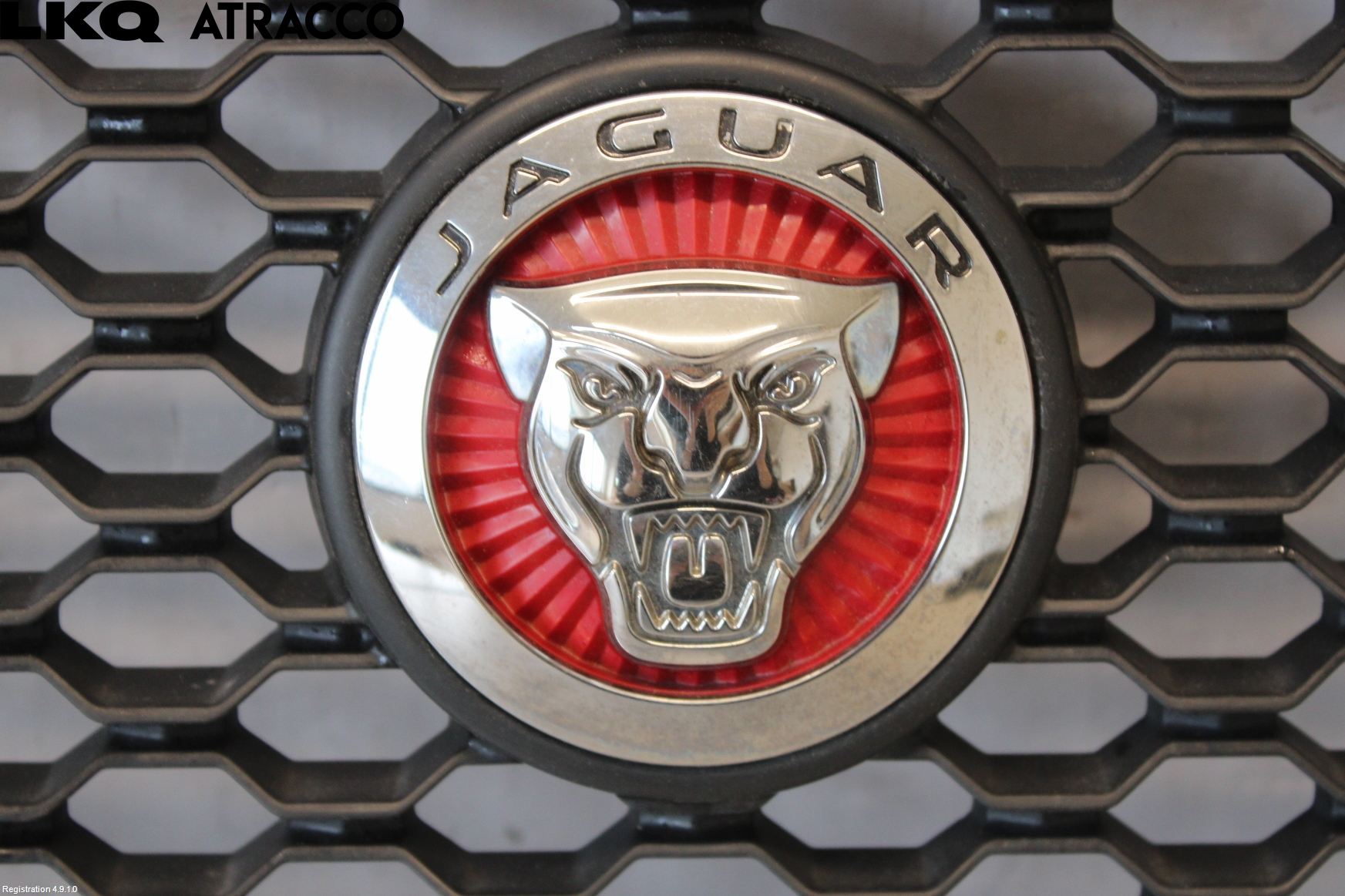 Jaguar XE (X760) 15-24 Grill Komplett