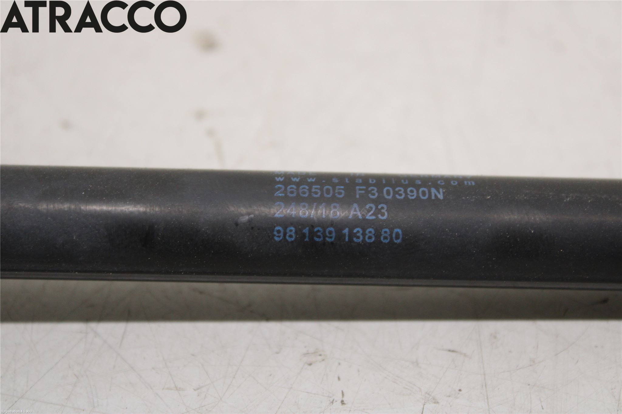 Citroen C4 CACTUS 14-20 Bakluke Demper-Gassfjær