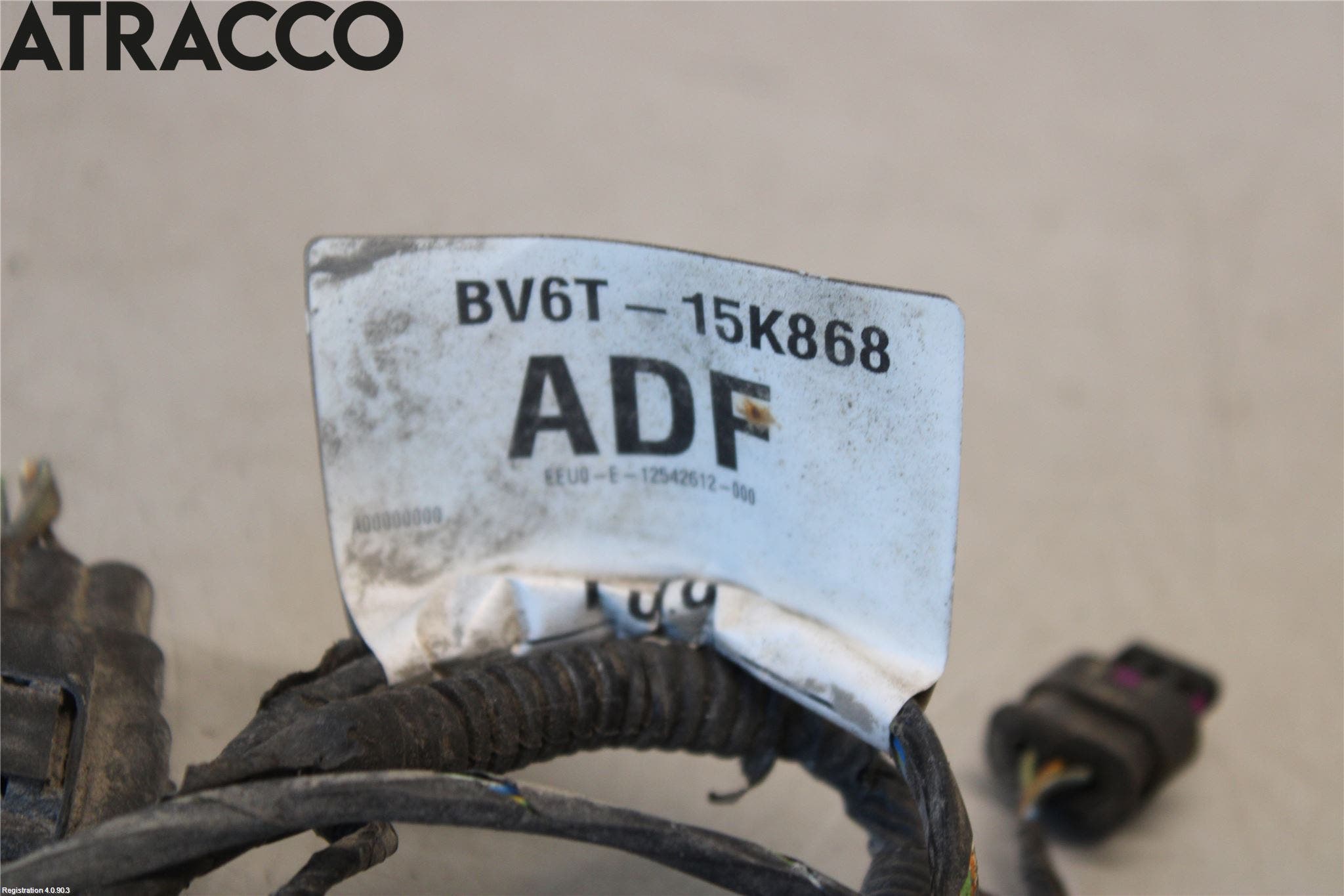 Ford FOCUS 11-14 Ledningsnett