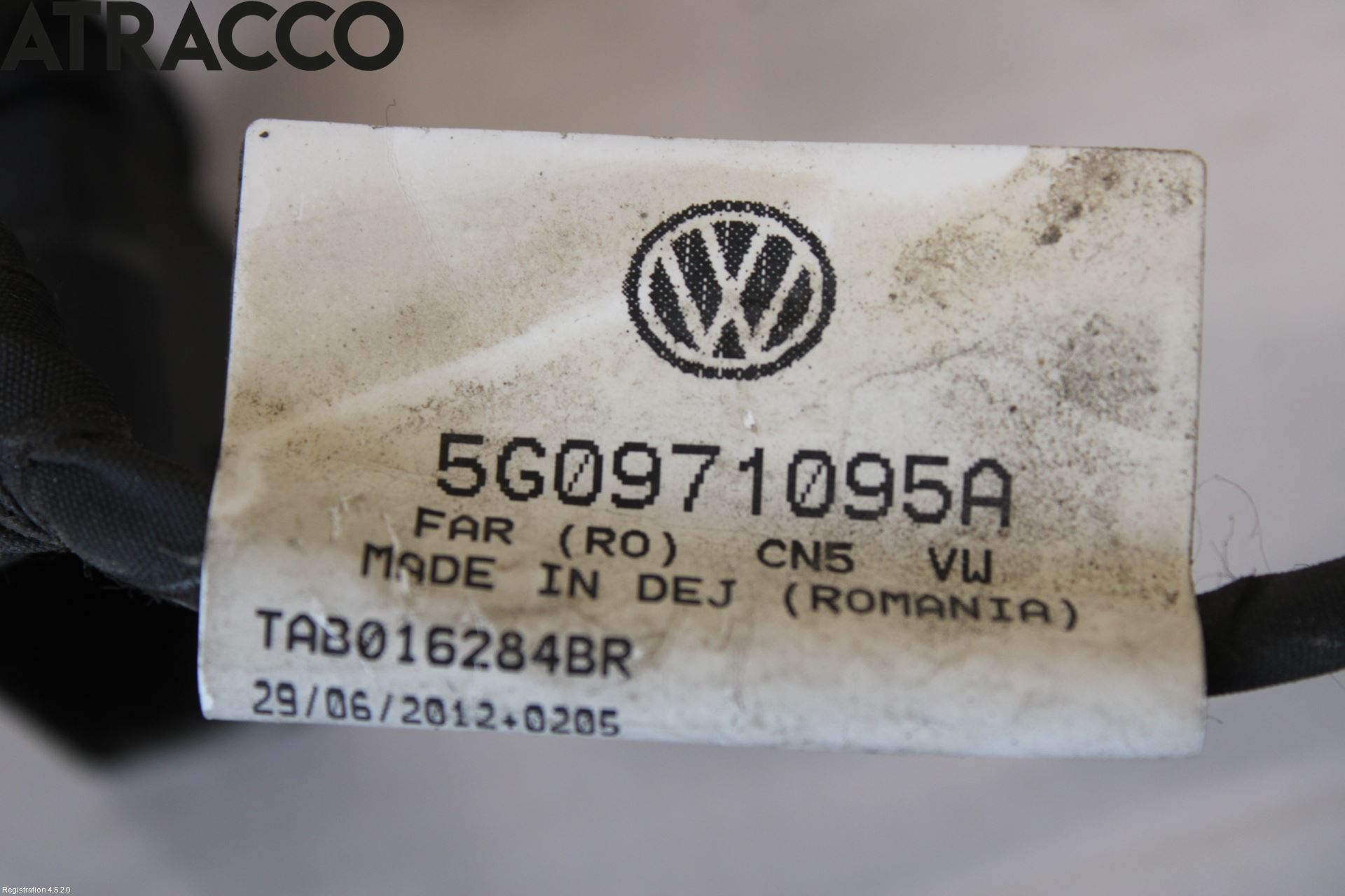 Volkswagen VW GOLF / E-GOLF VII 13-20 Ledningsnett