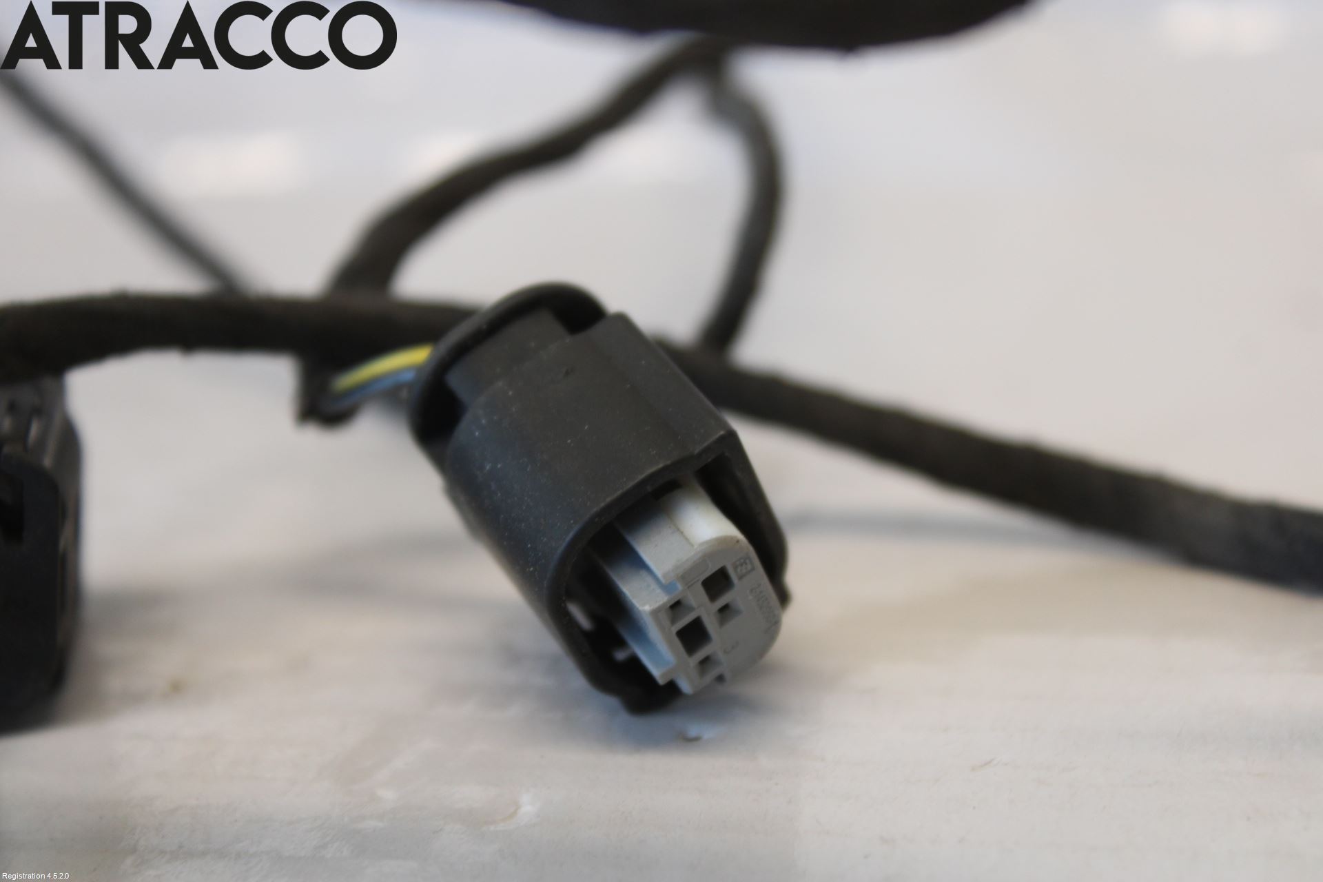 BMW 5 E60/61 Sed/Tou 02-10 Ledningsnett