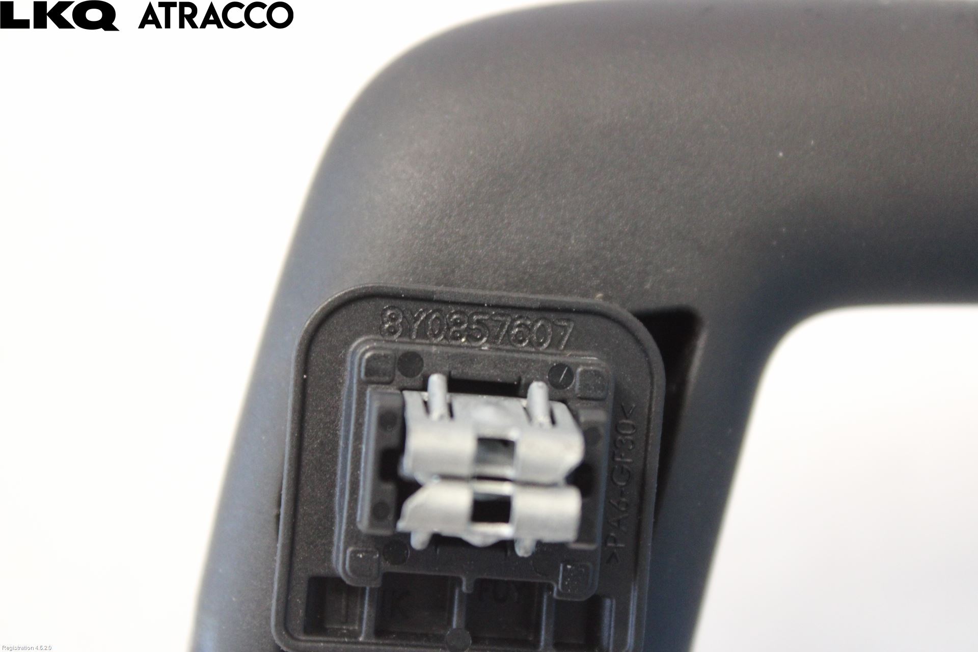 Porsche TAYCAN 20- Innrhandtak I Taket