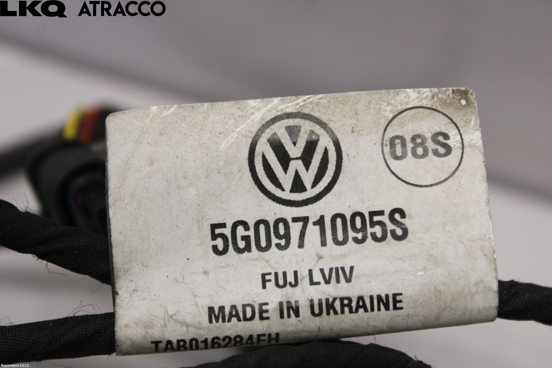 Volkswagen VW GOLF / E-GOLF VII 13-20 Ledningsnett