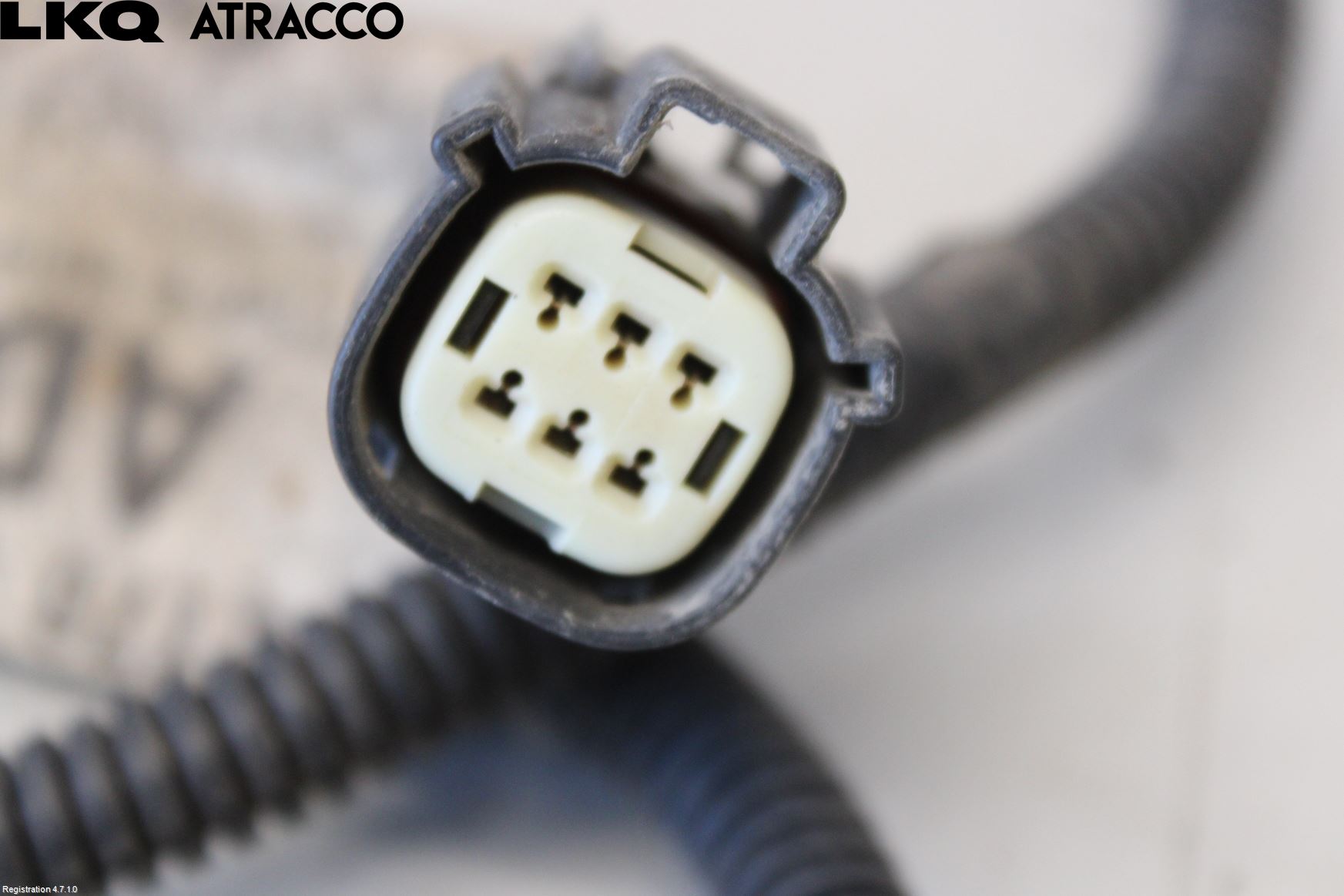 Ford TRANSIT CONNECT 09-13 Ledningsnett