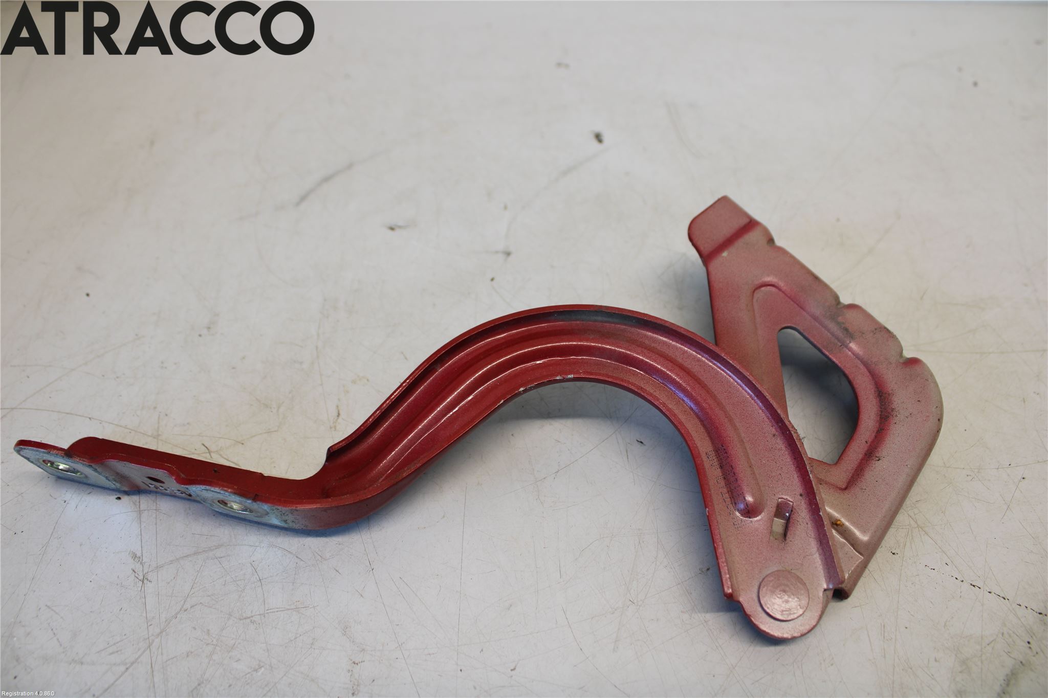 Hyundai IONIQ AE 17-22 Panser Hengsel - Hengsler